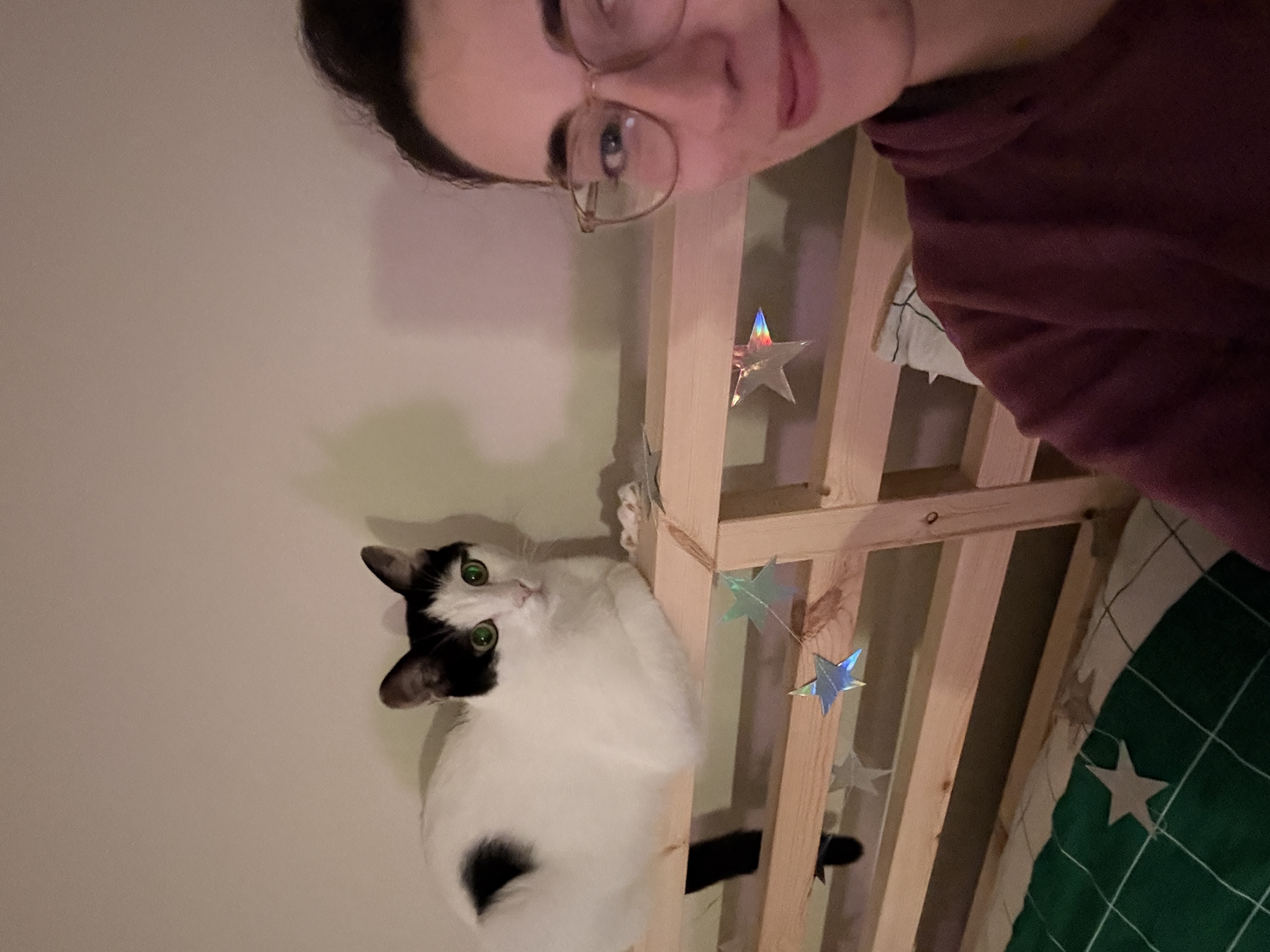 image-8