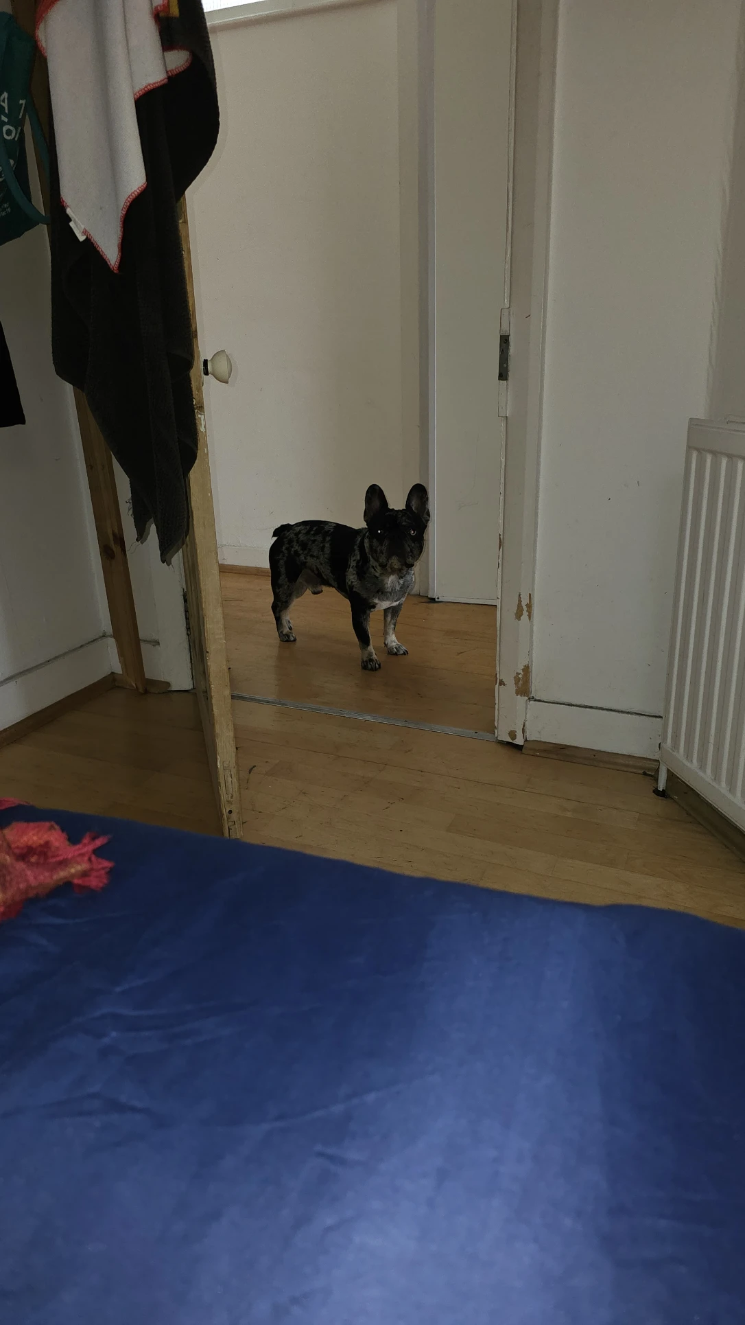 image-4