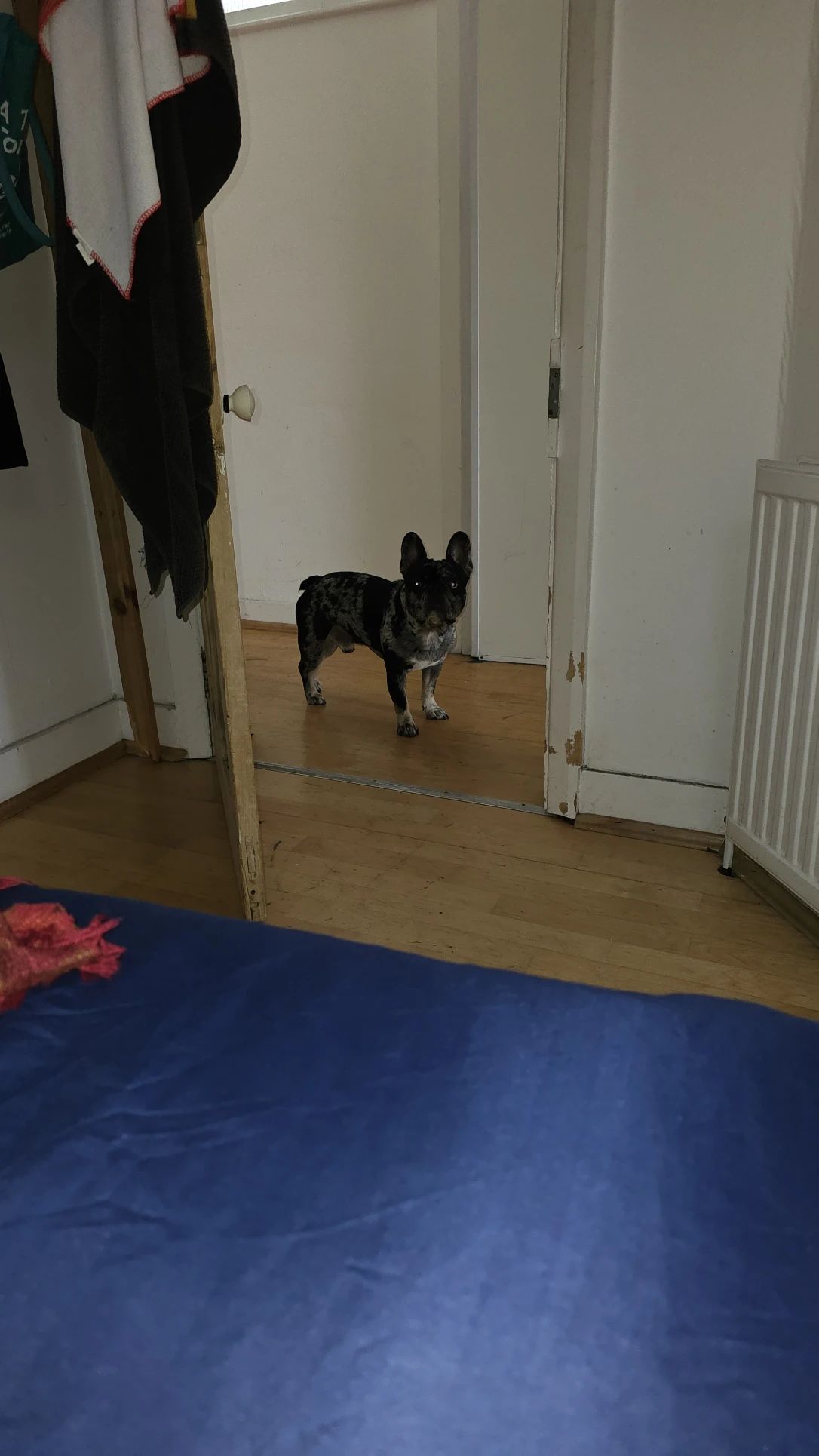 image-4
