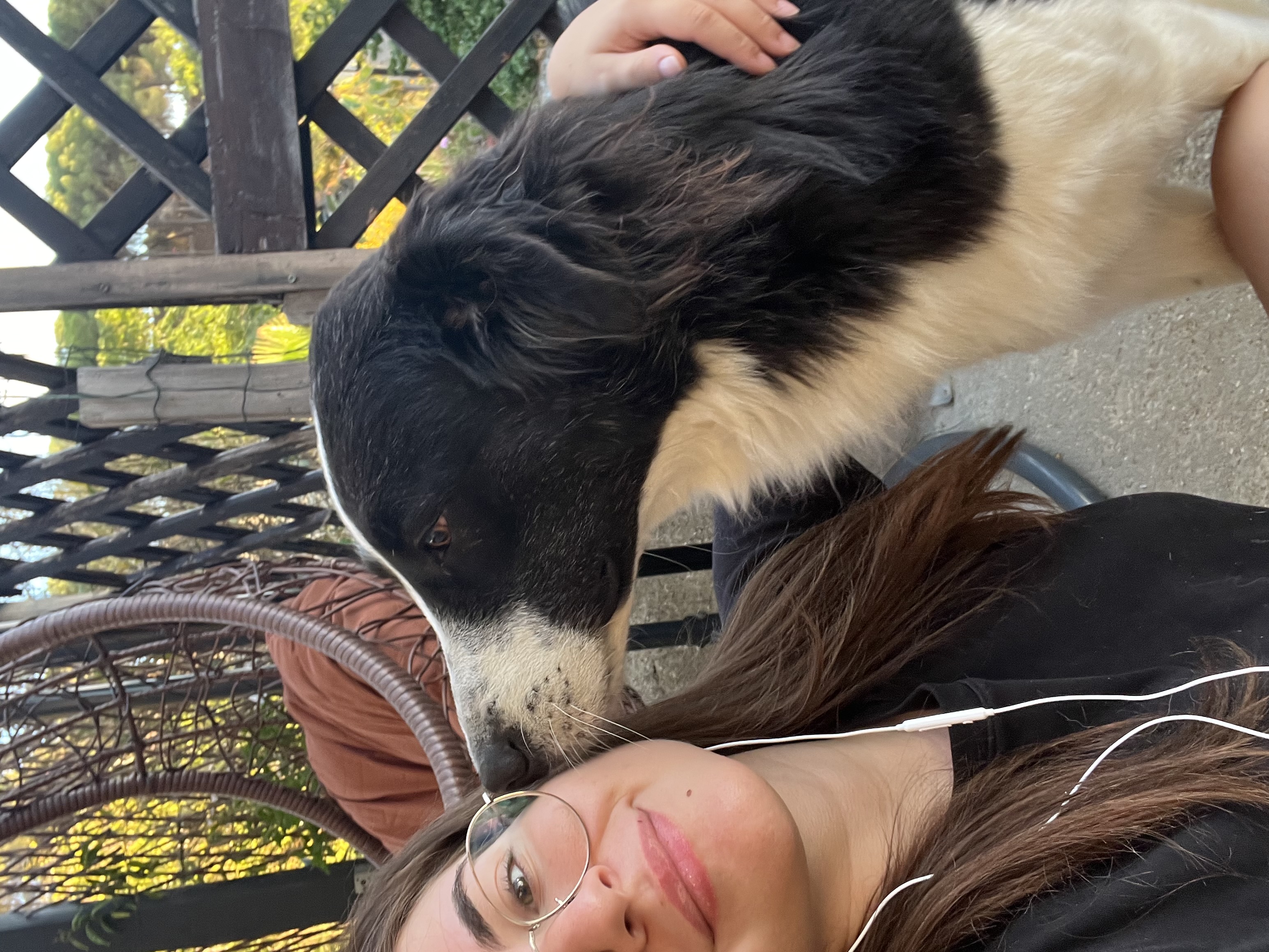 image-2