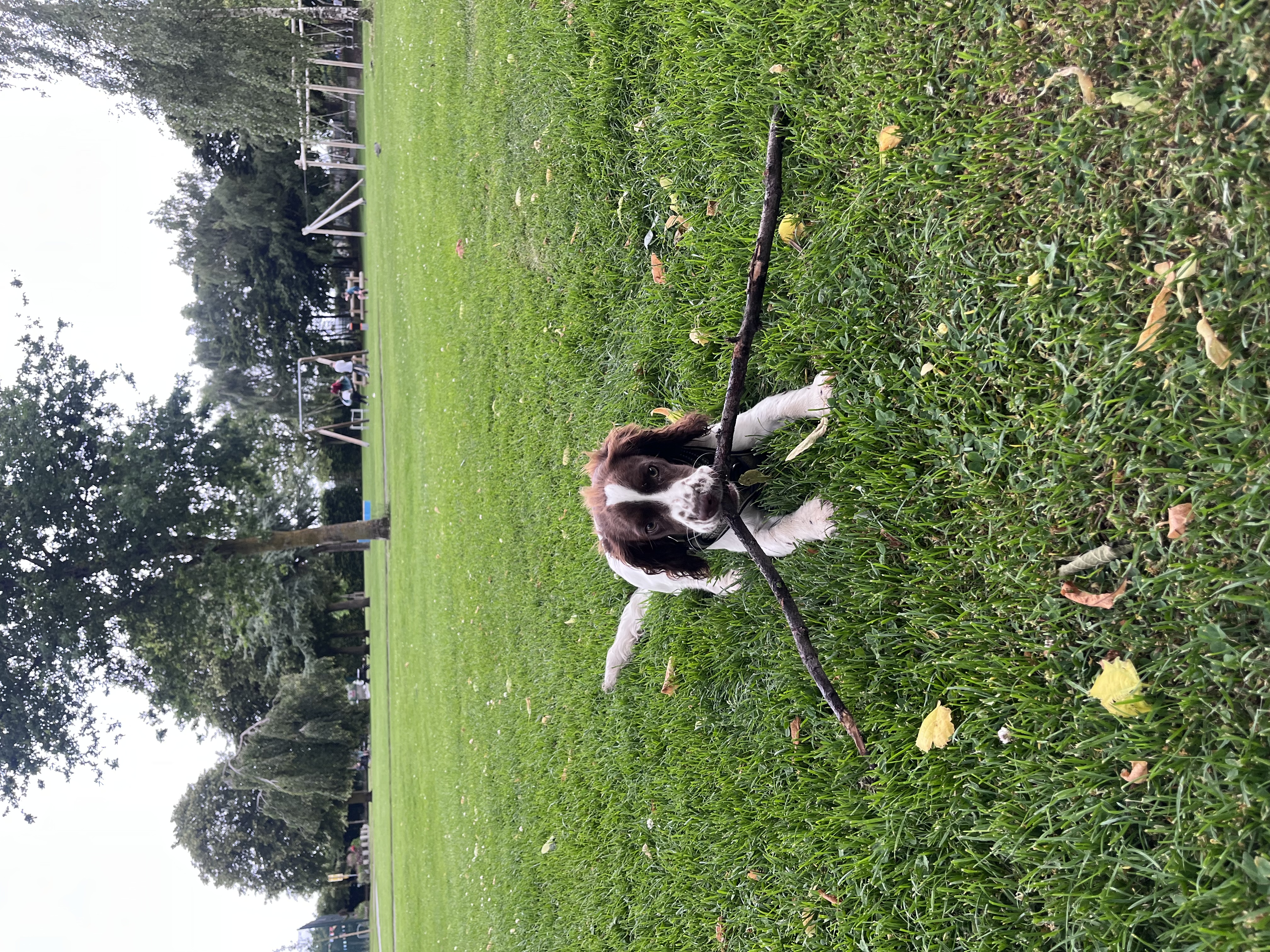 image-3