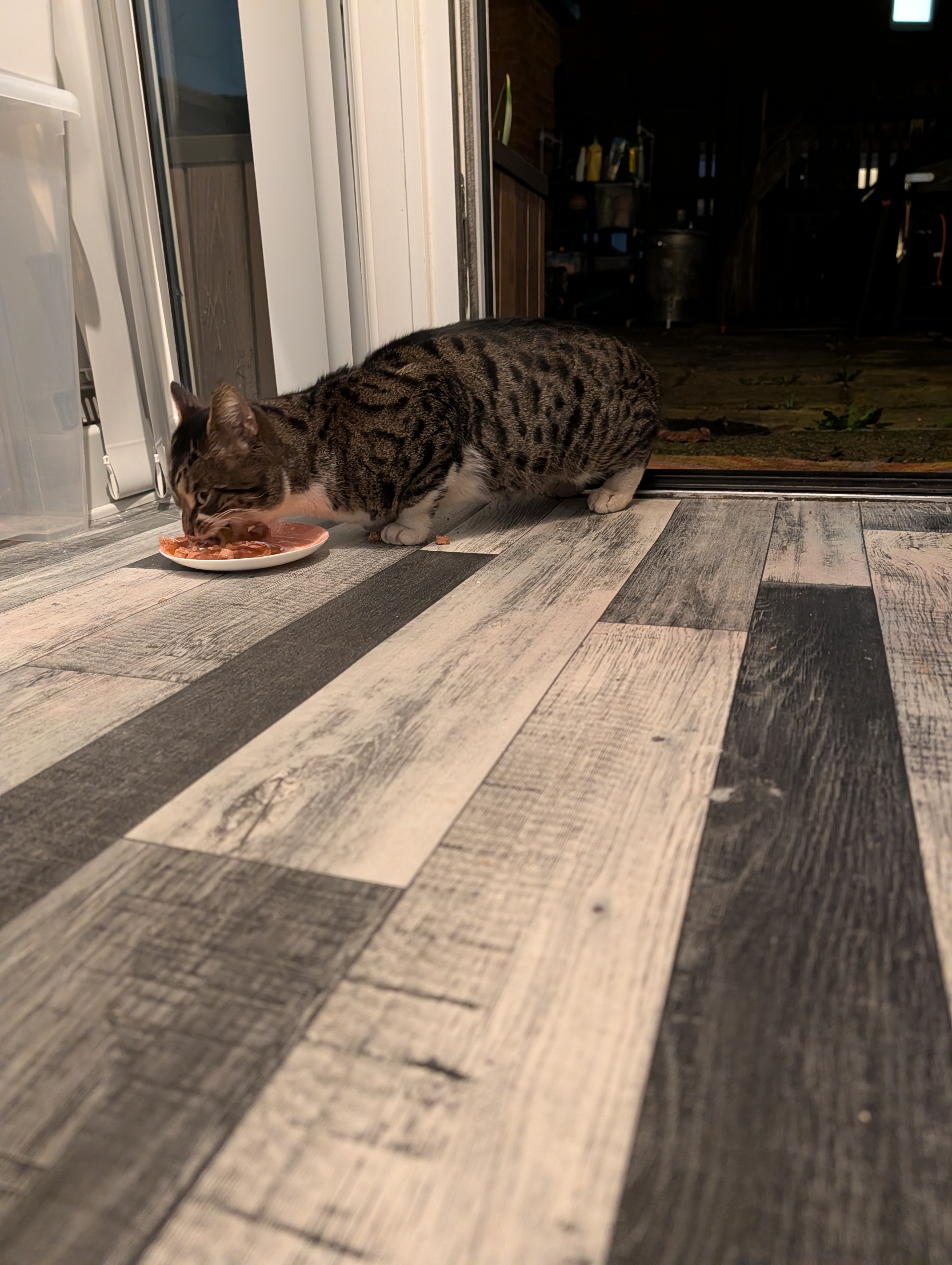 image-11