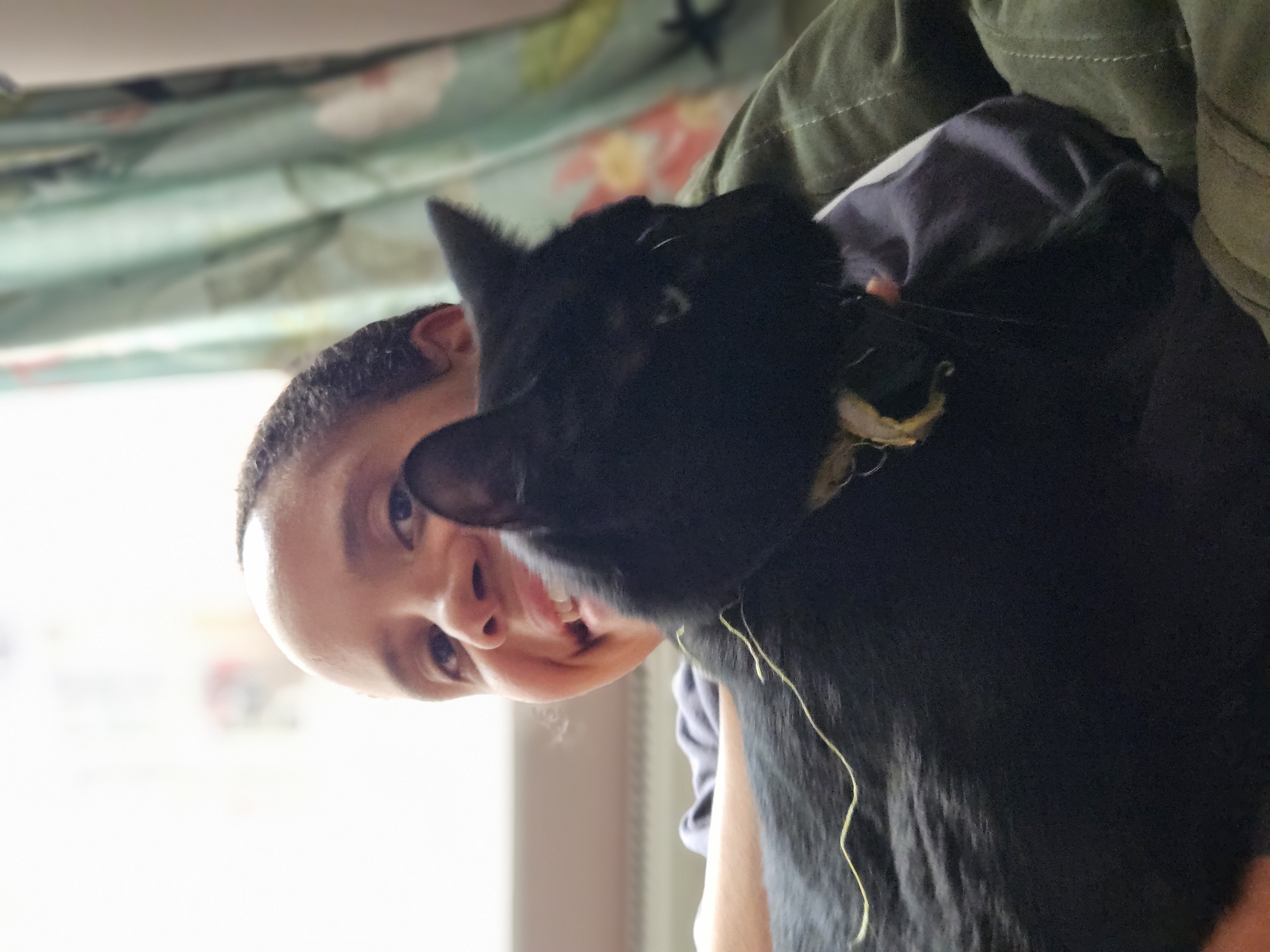 image-6