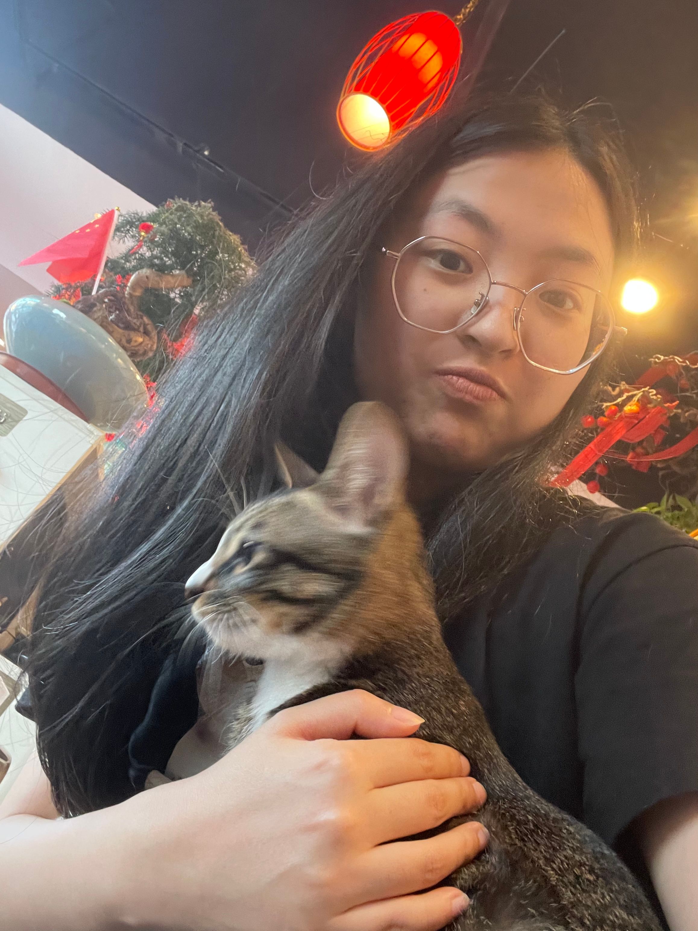 image-6