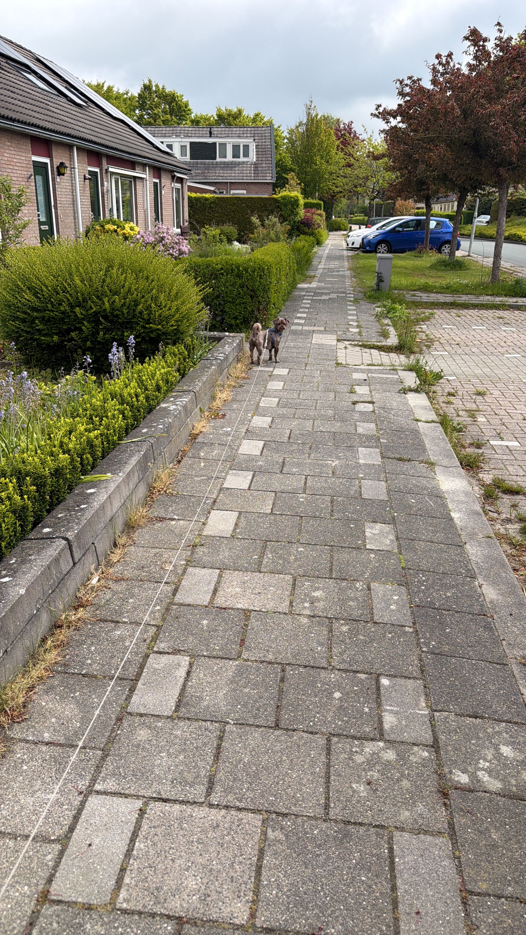image-15