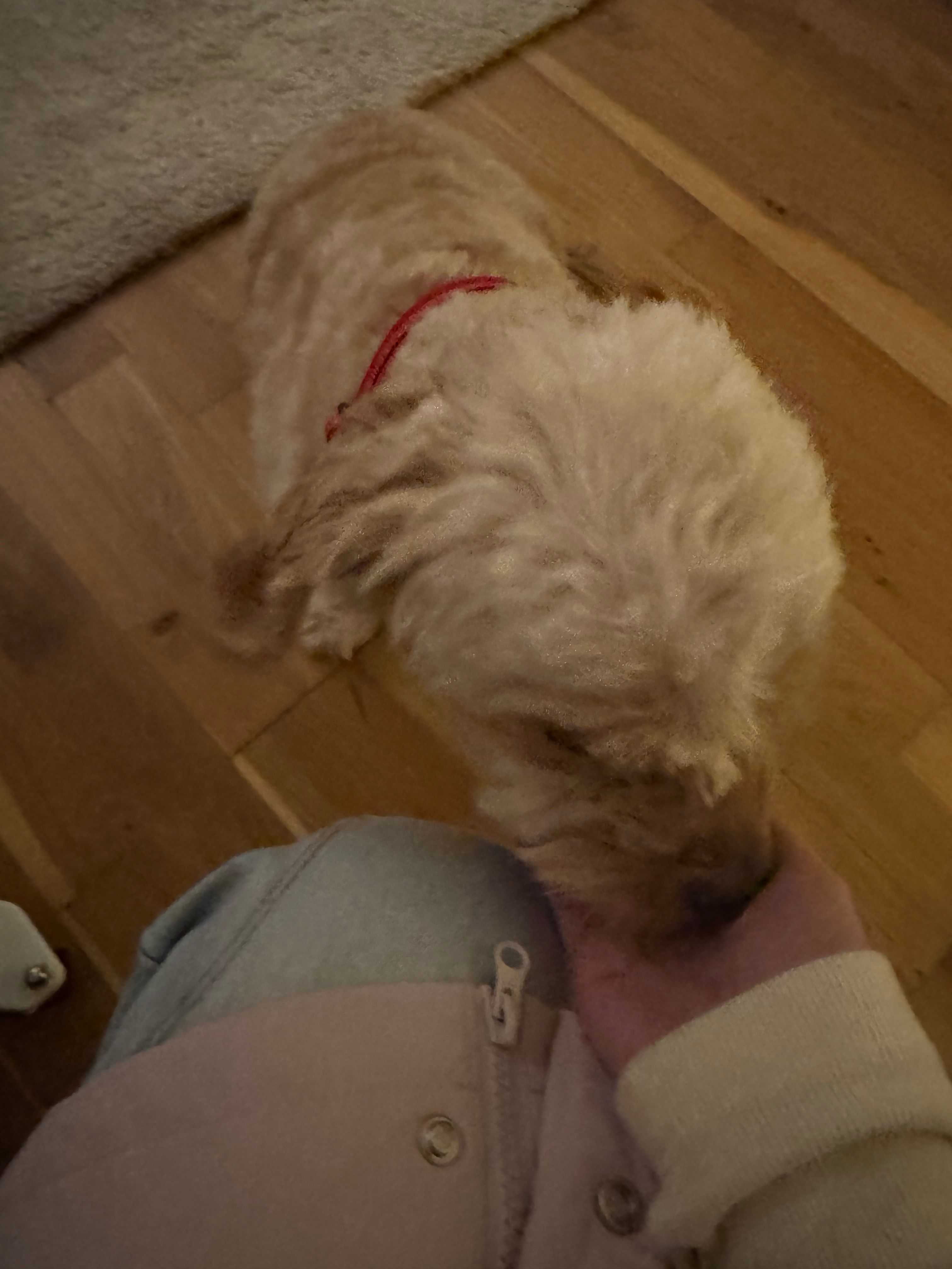 image-3