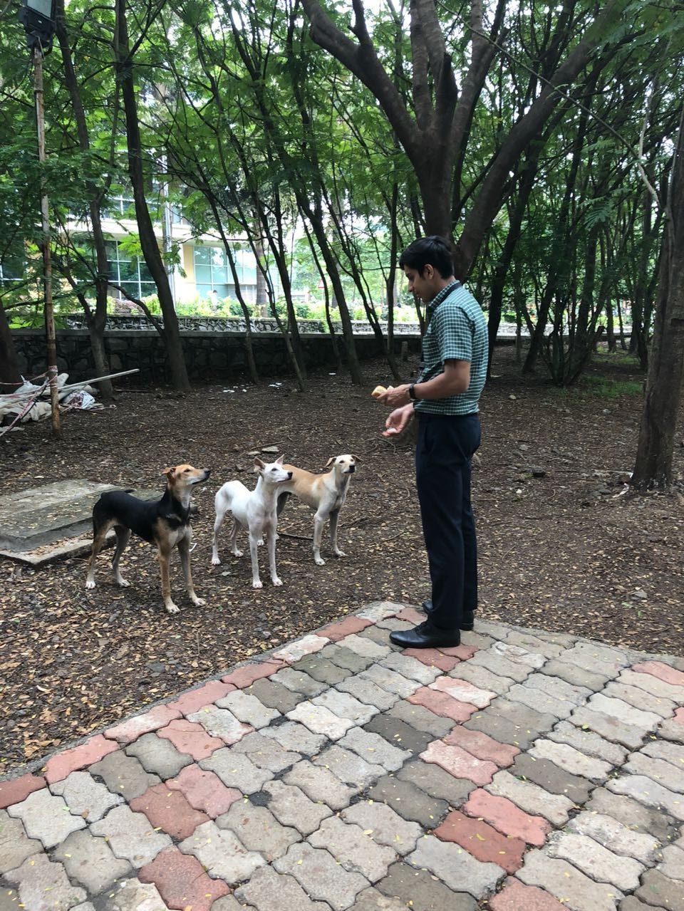 image-11