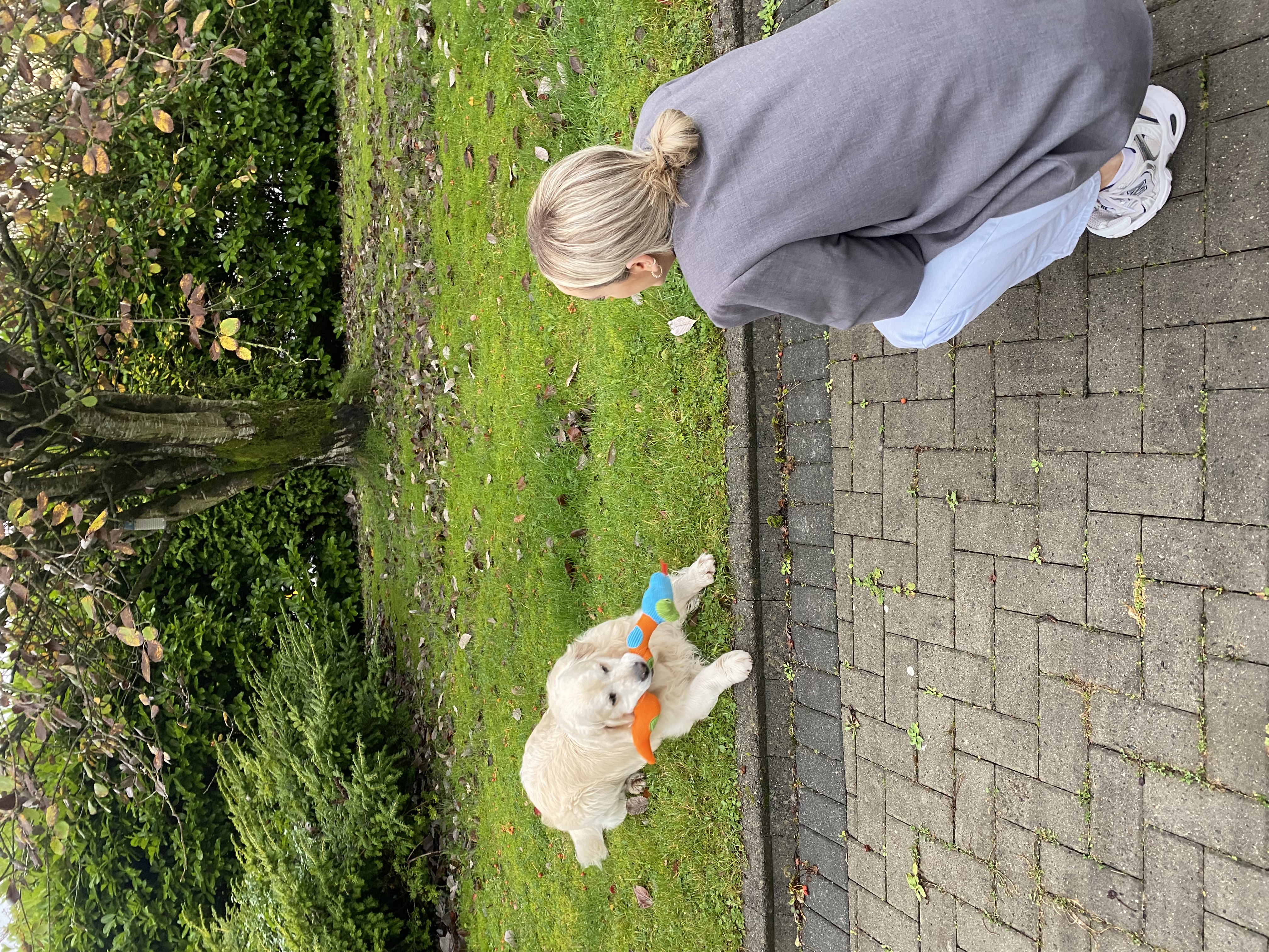 image-13