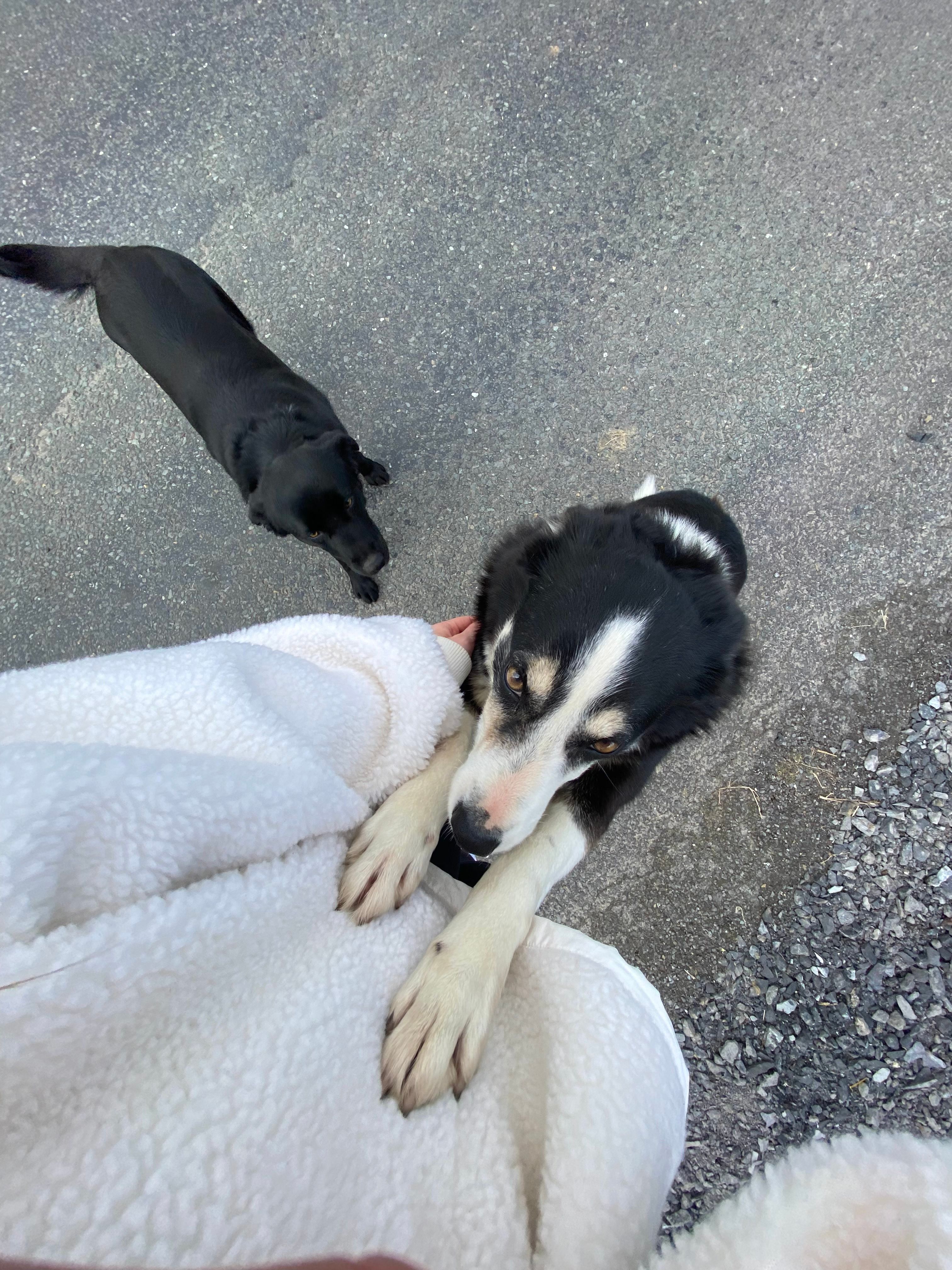 image-6