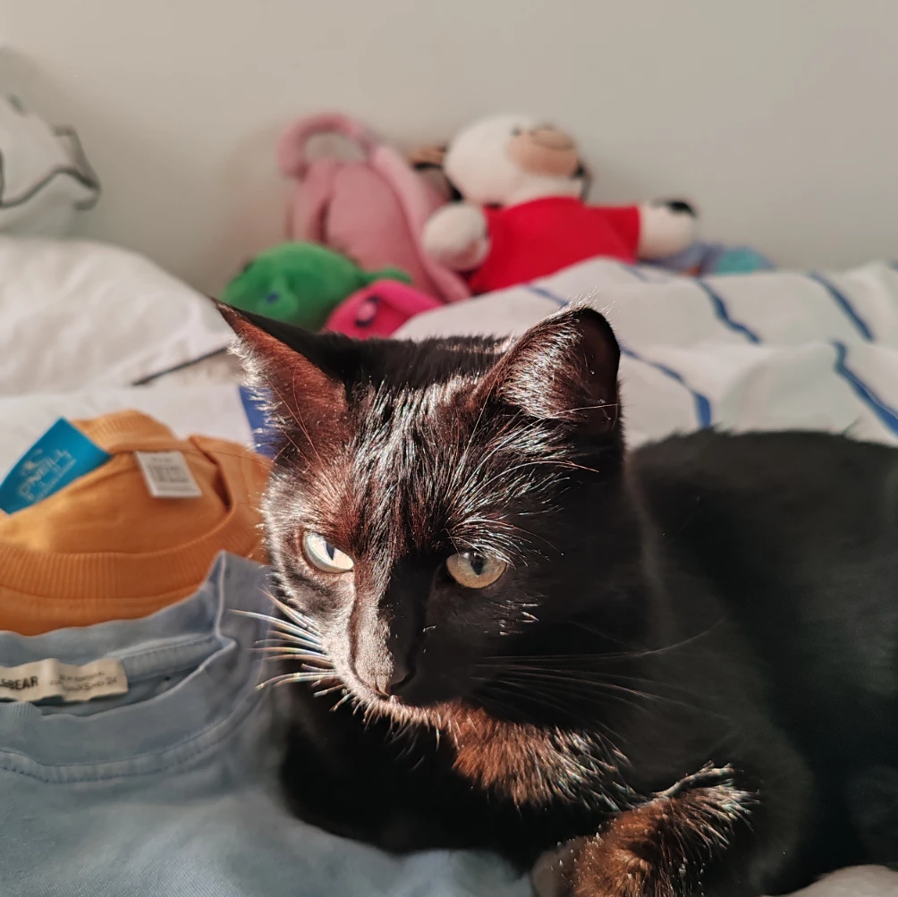 Lola