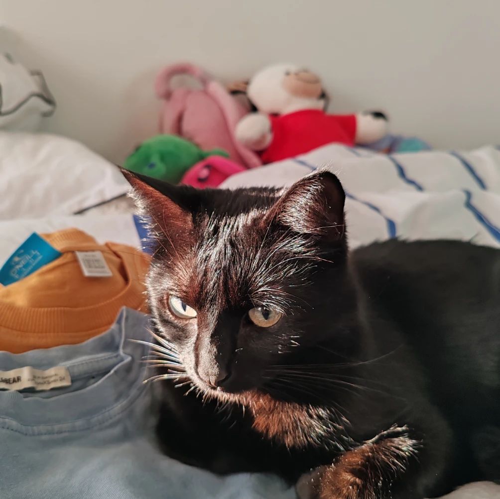 Lola