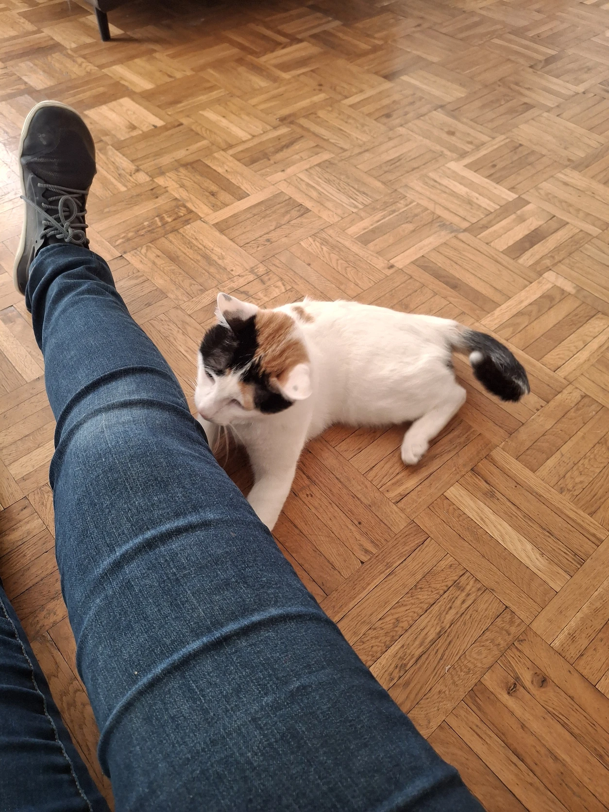 image-15
