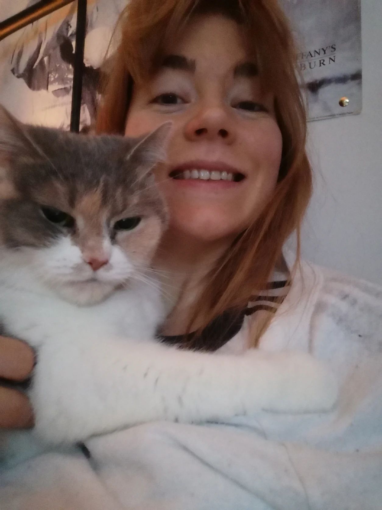 image-8