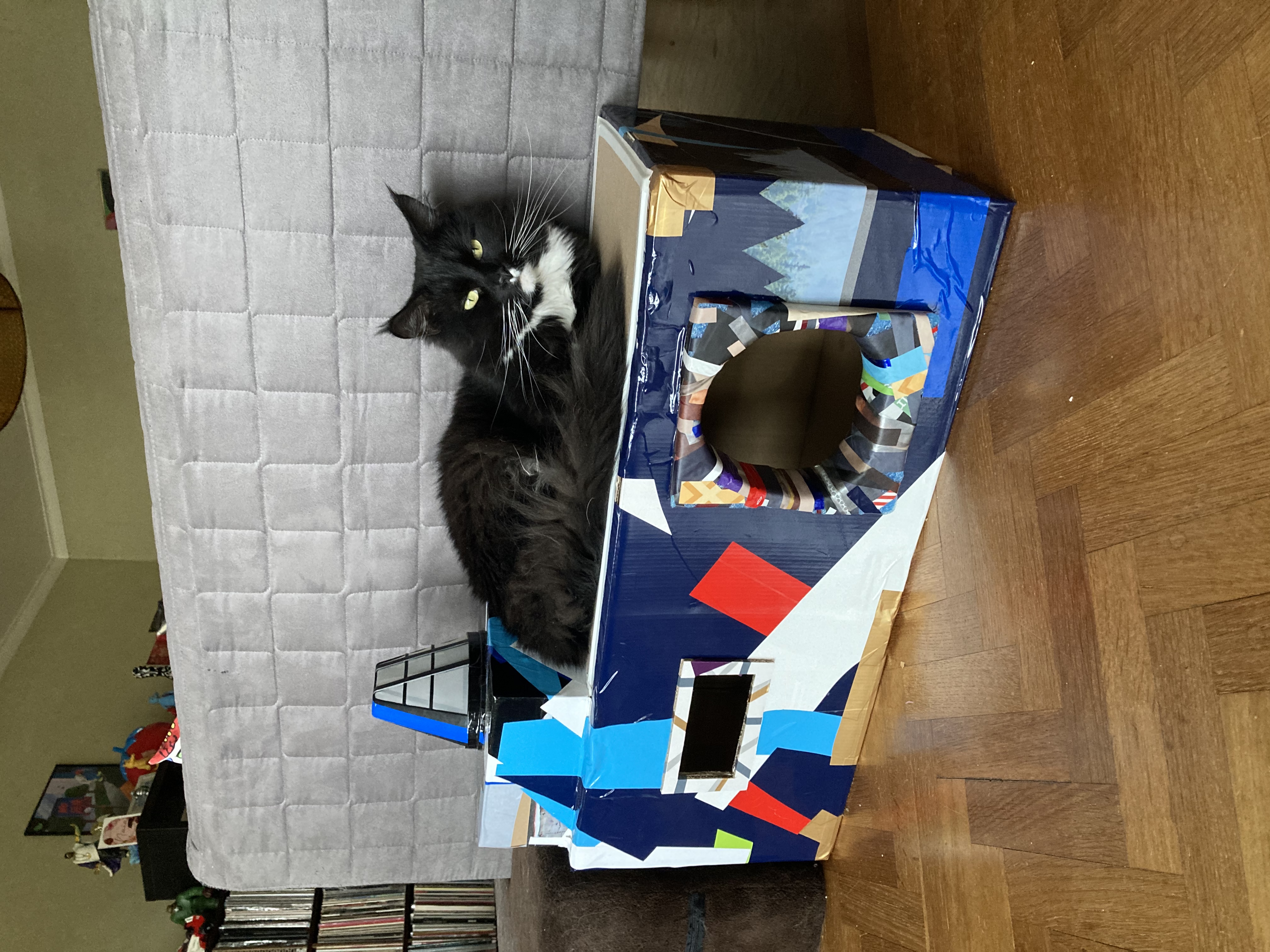image-9