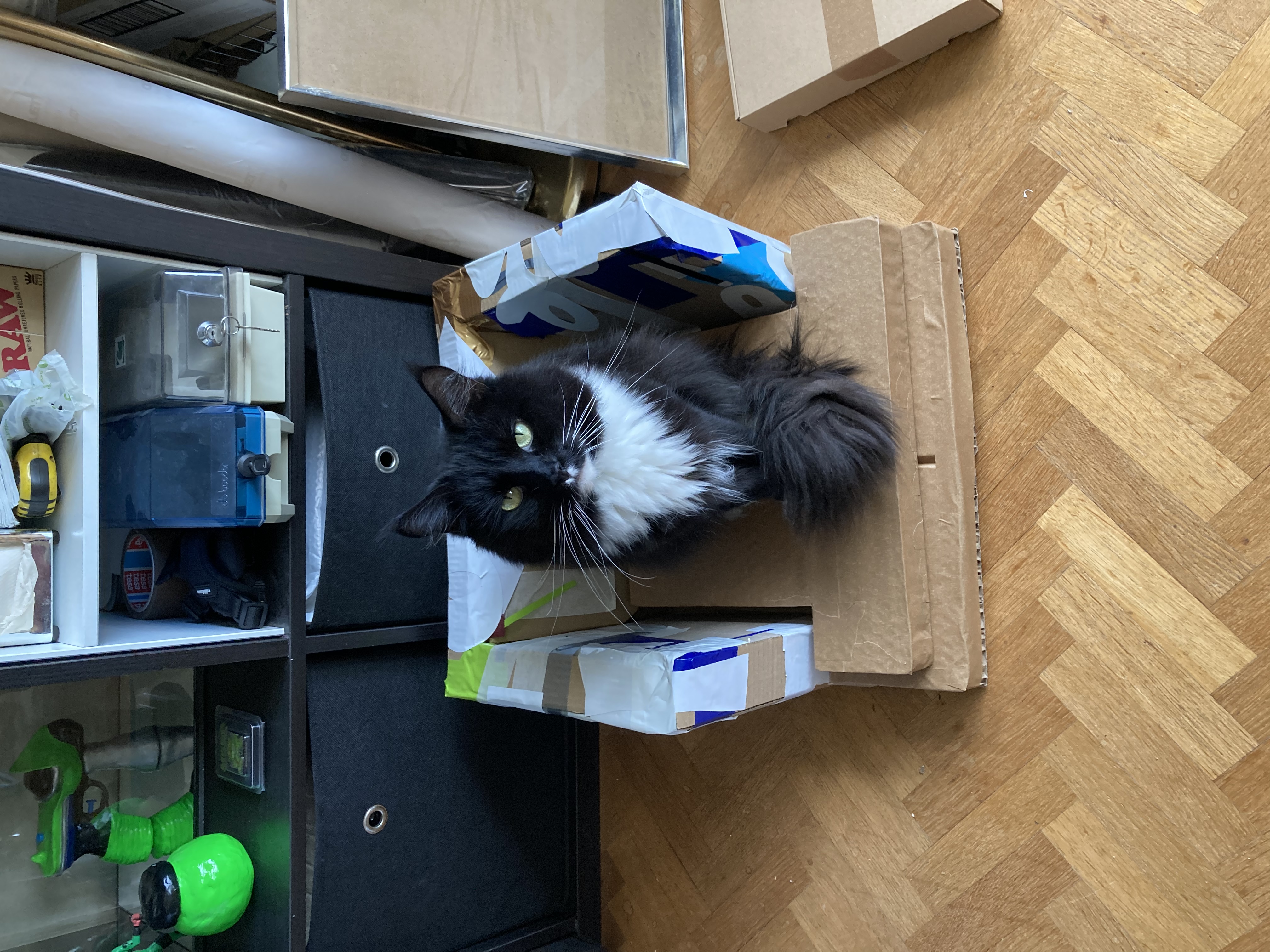 image-5