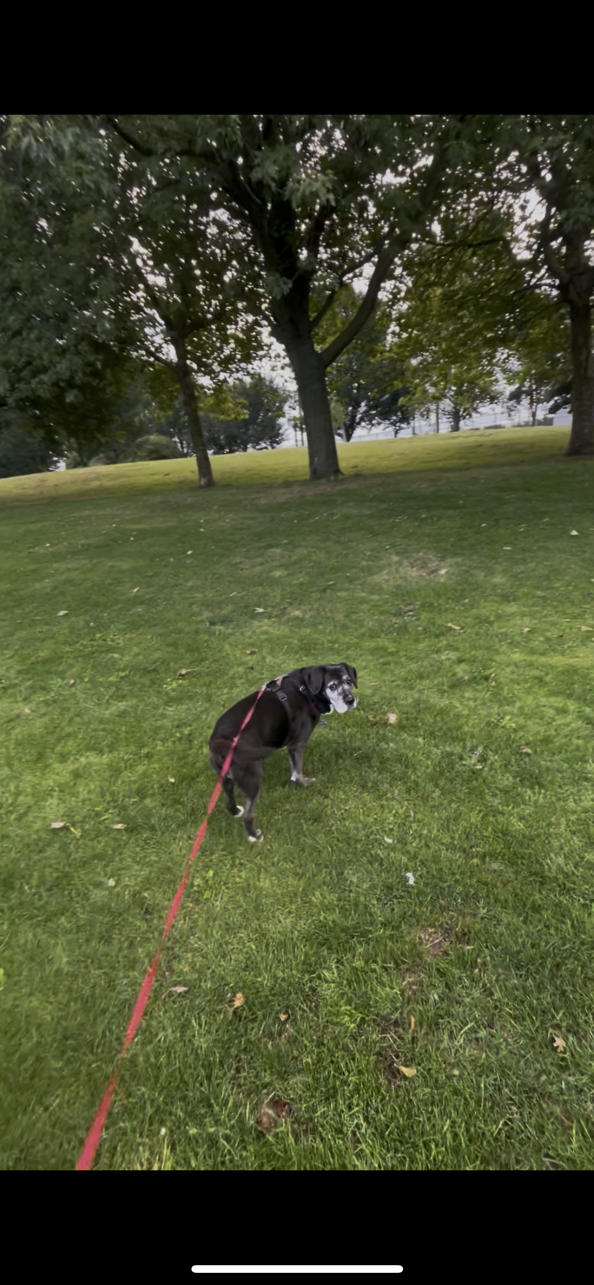 image-29