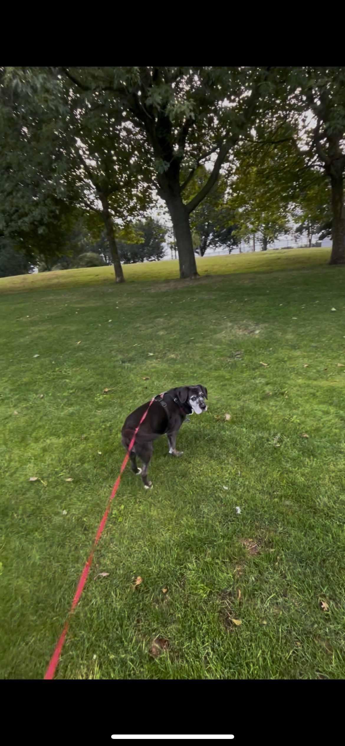 image-29