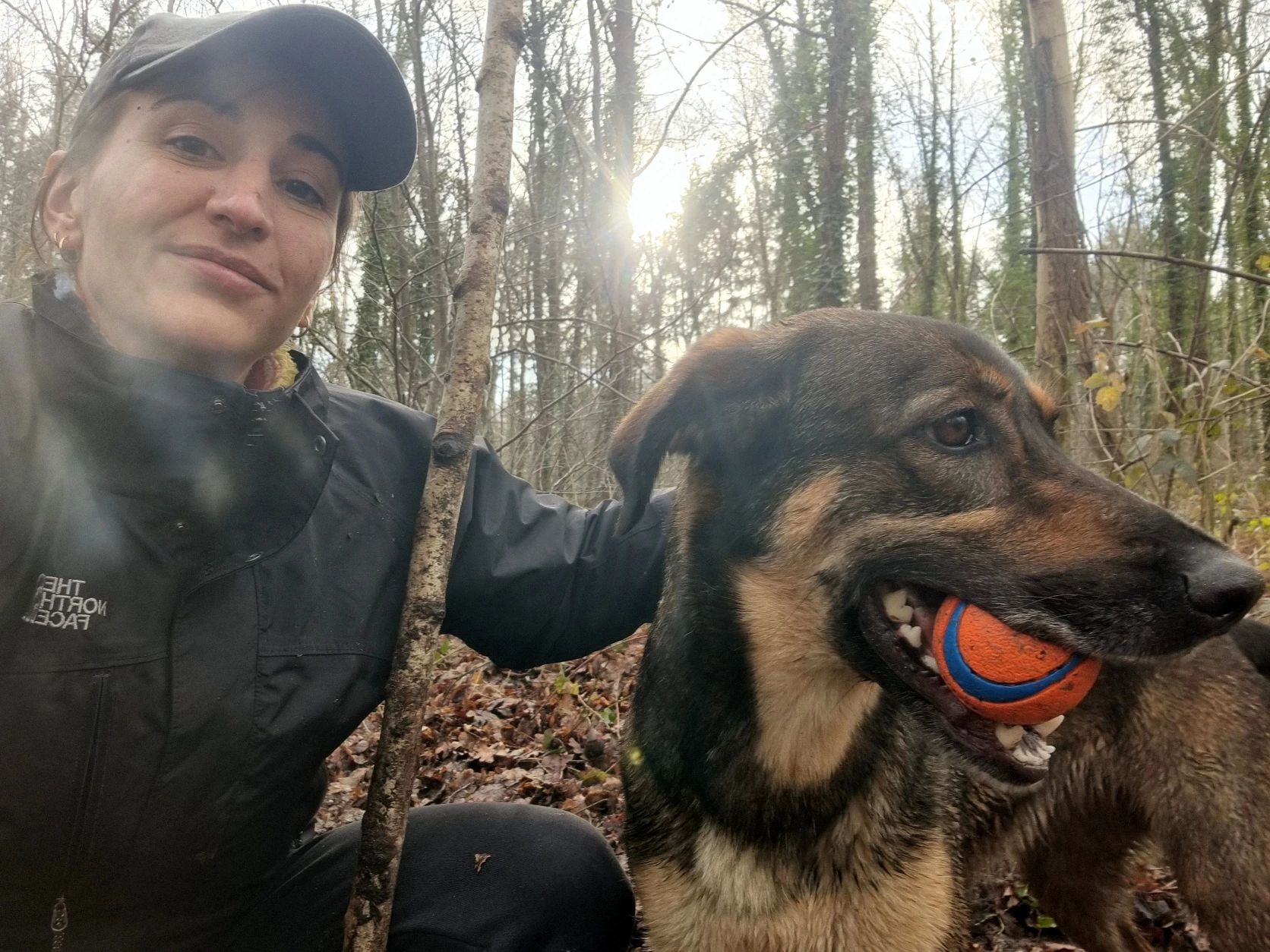 image-1