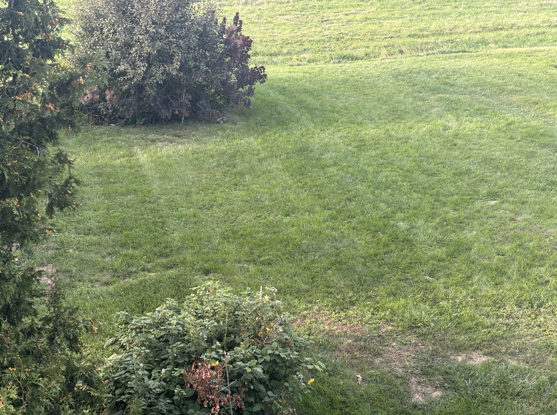 image-11