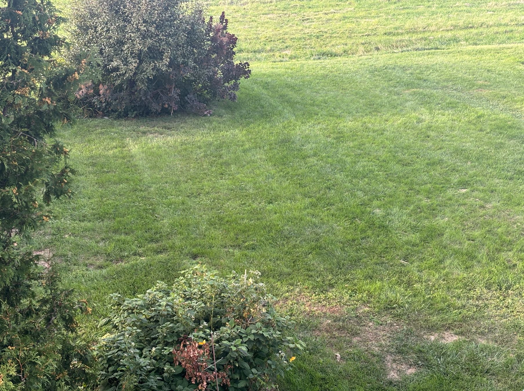 image-11