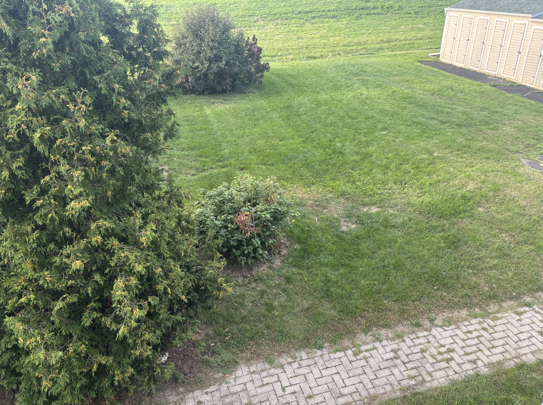 image-12