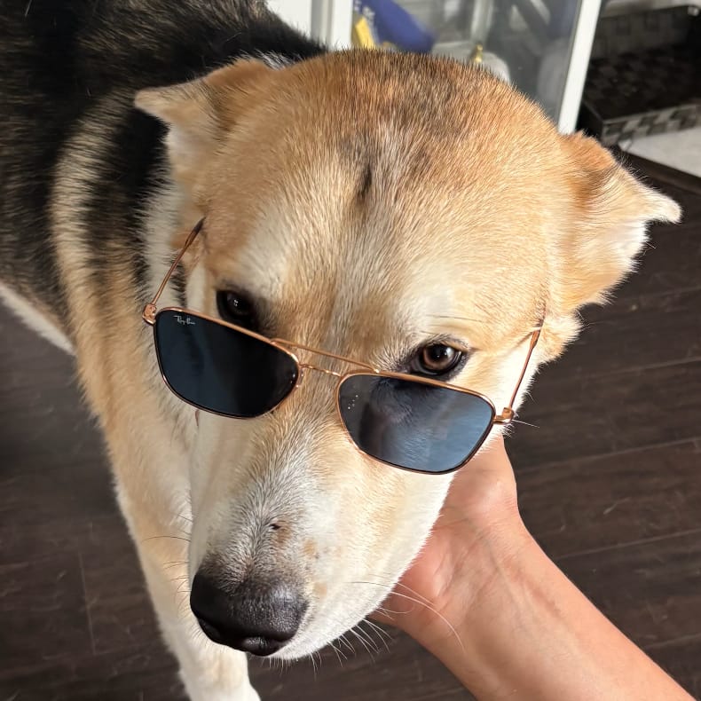Bunty
