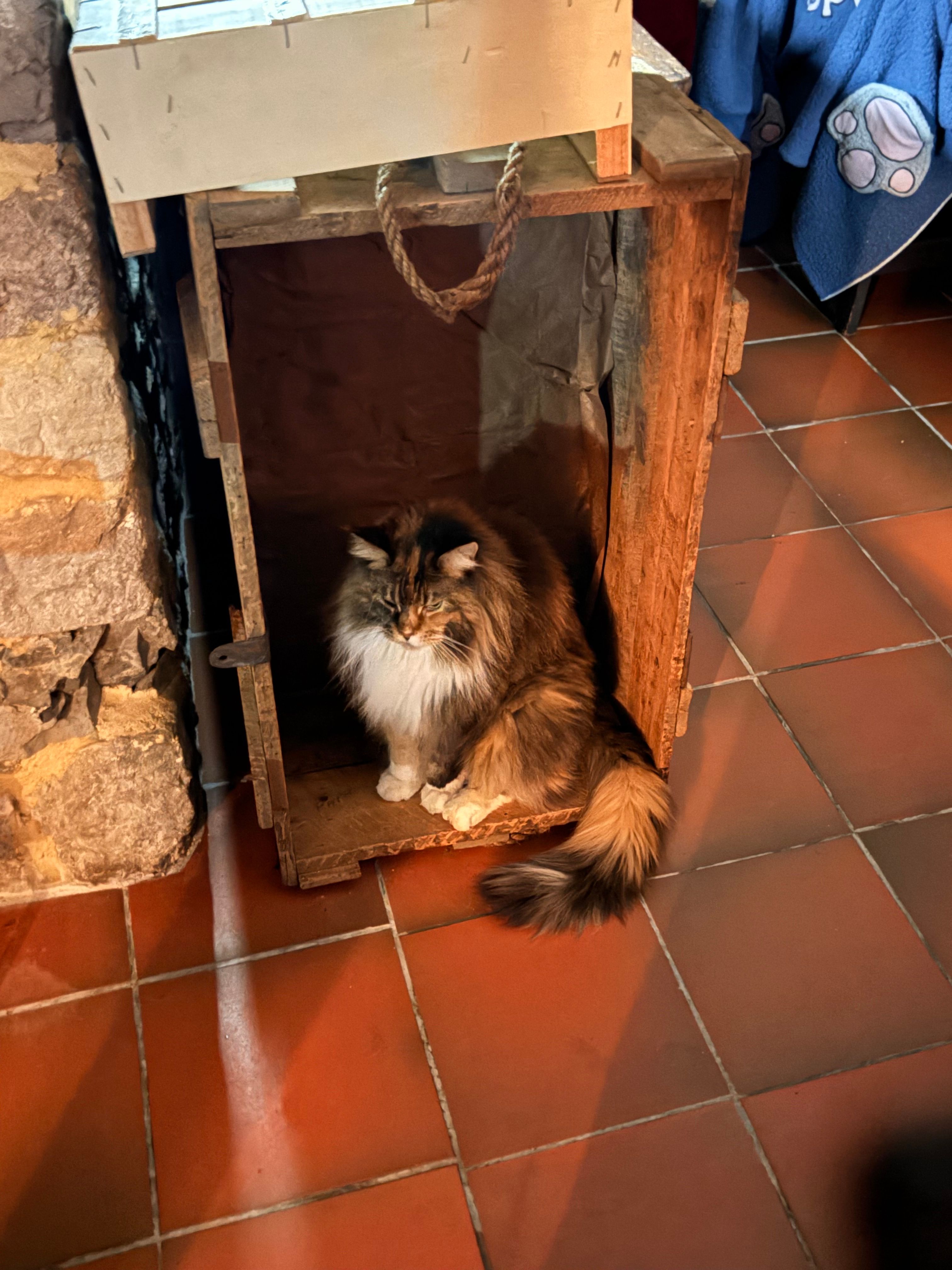 image-10