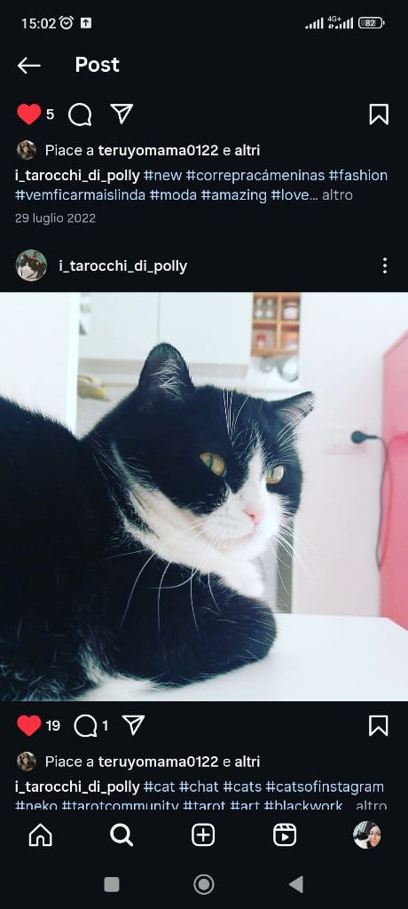 Polly
