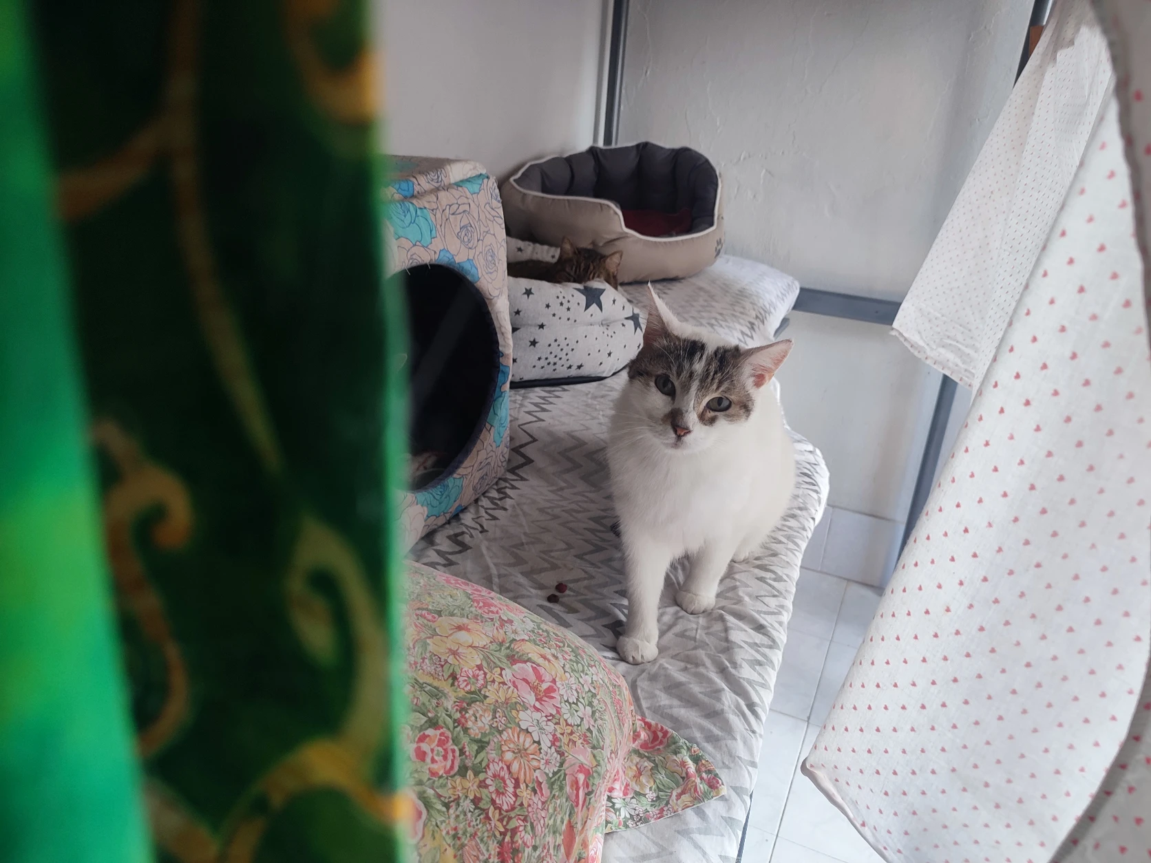 image-13