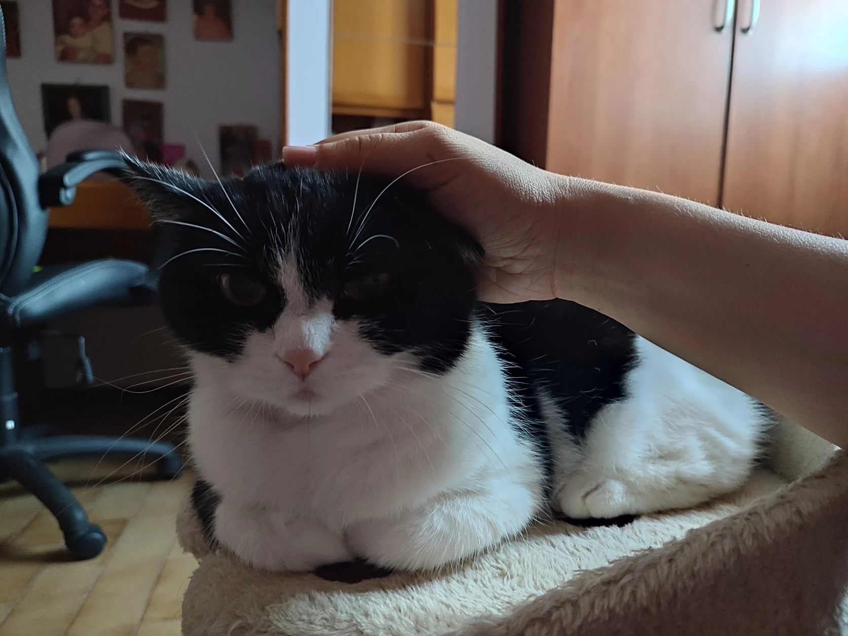 image-15