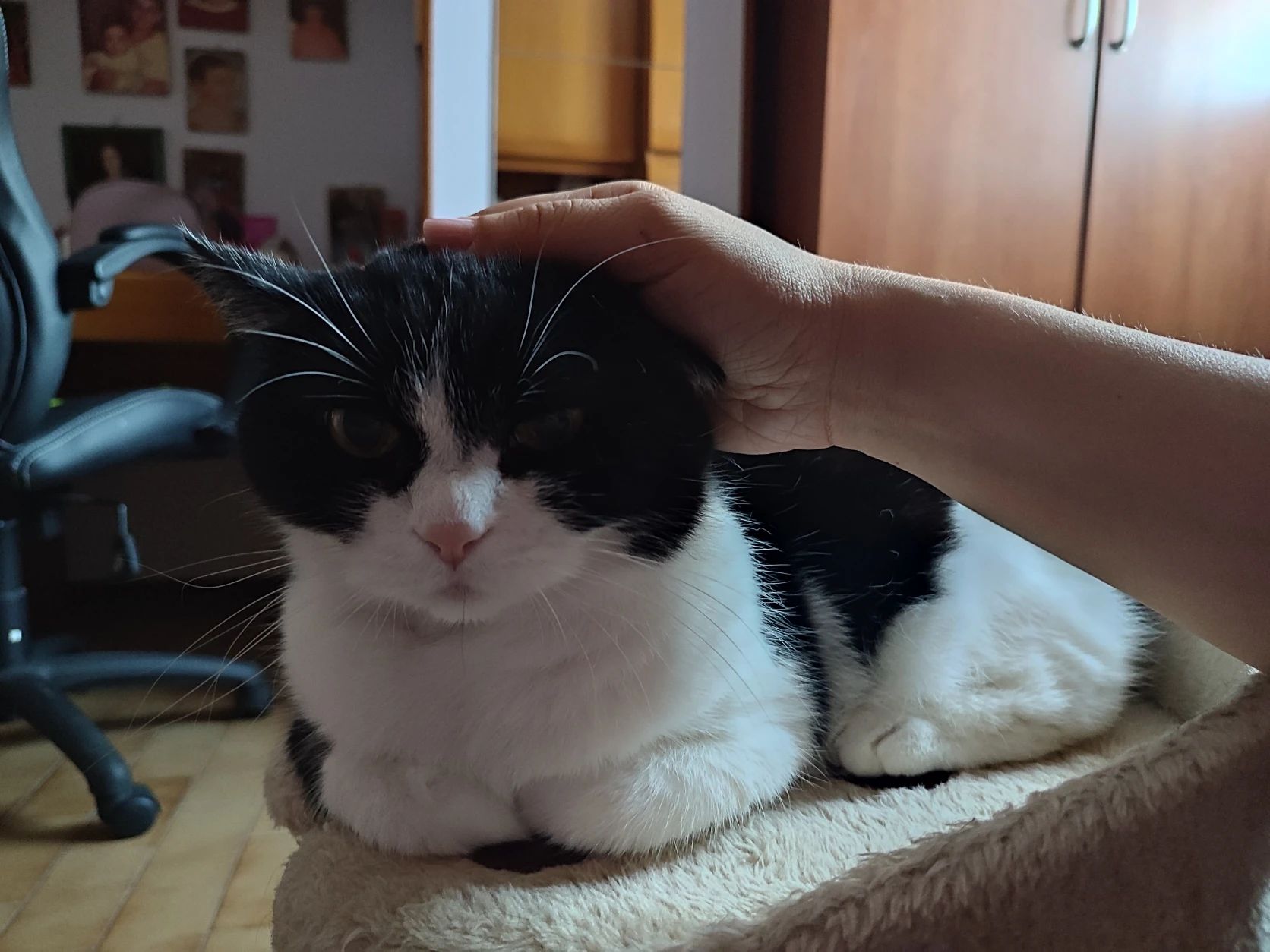 image-15