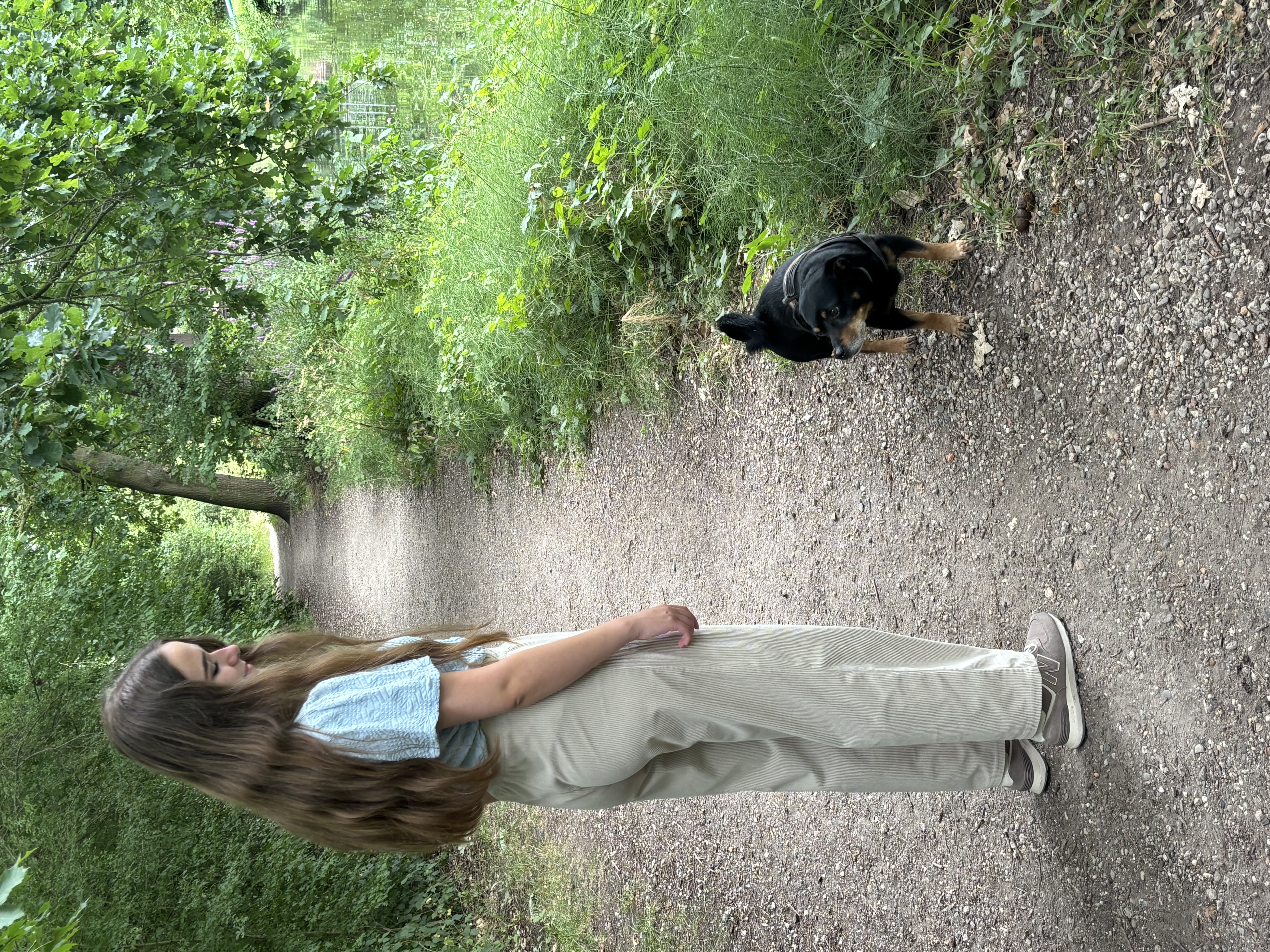 image-17