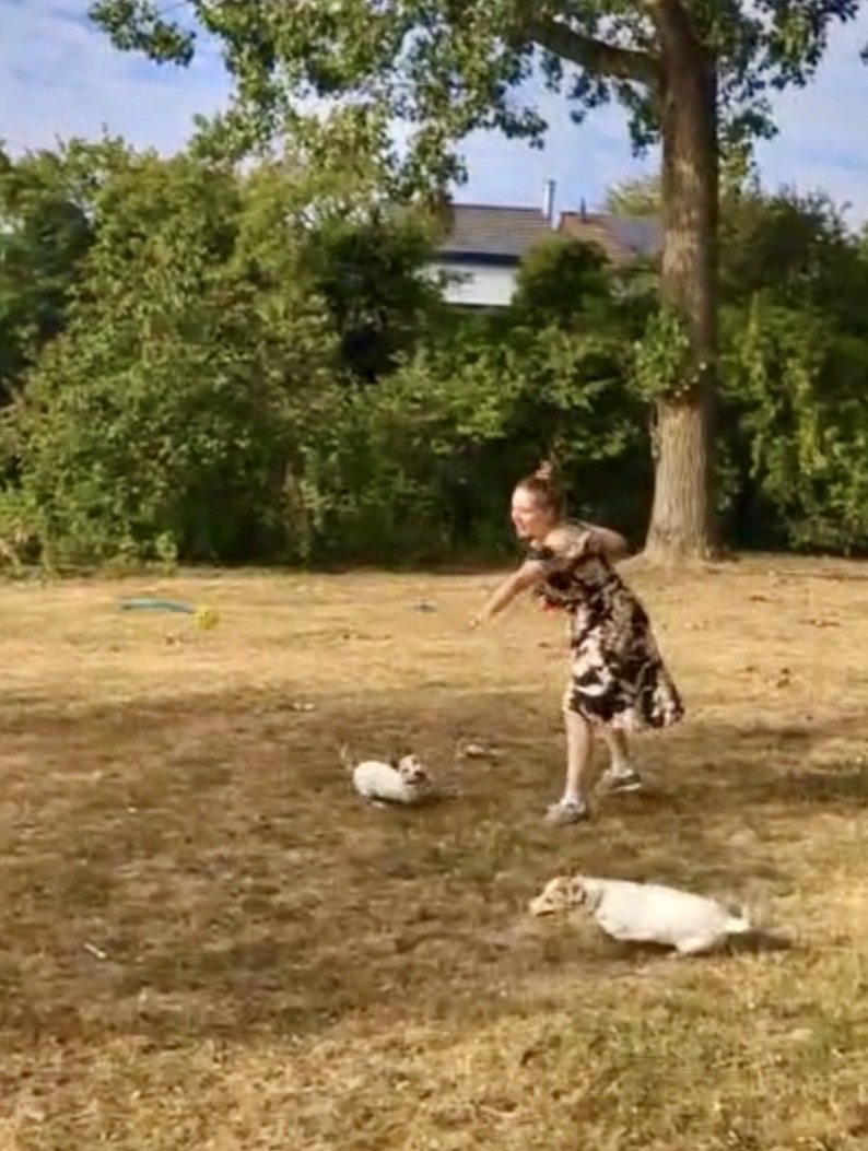 image-7