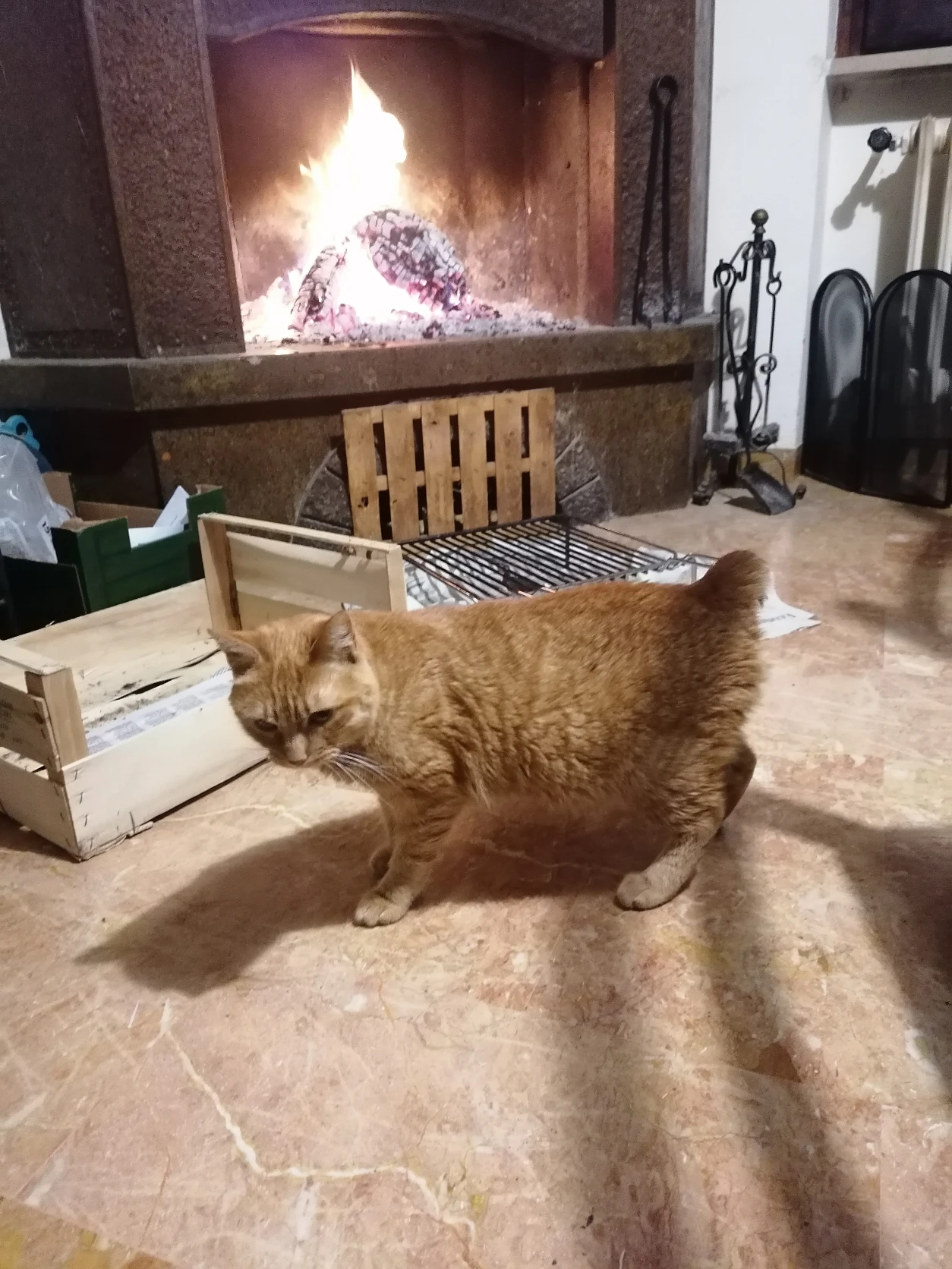 image-16