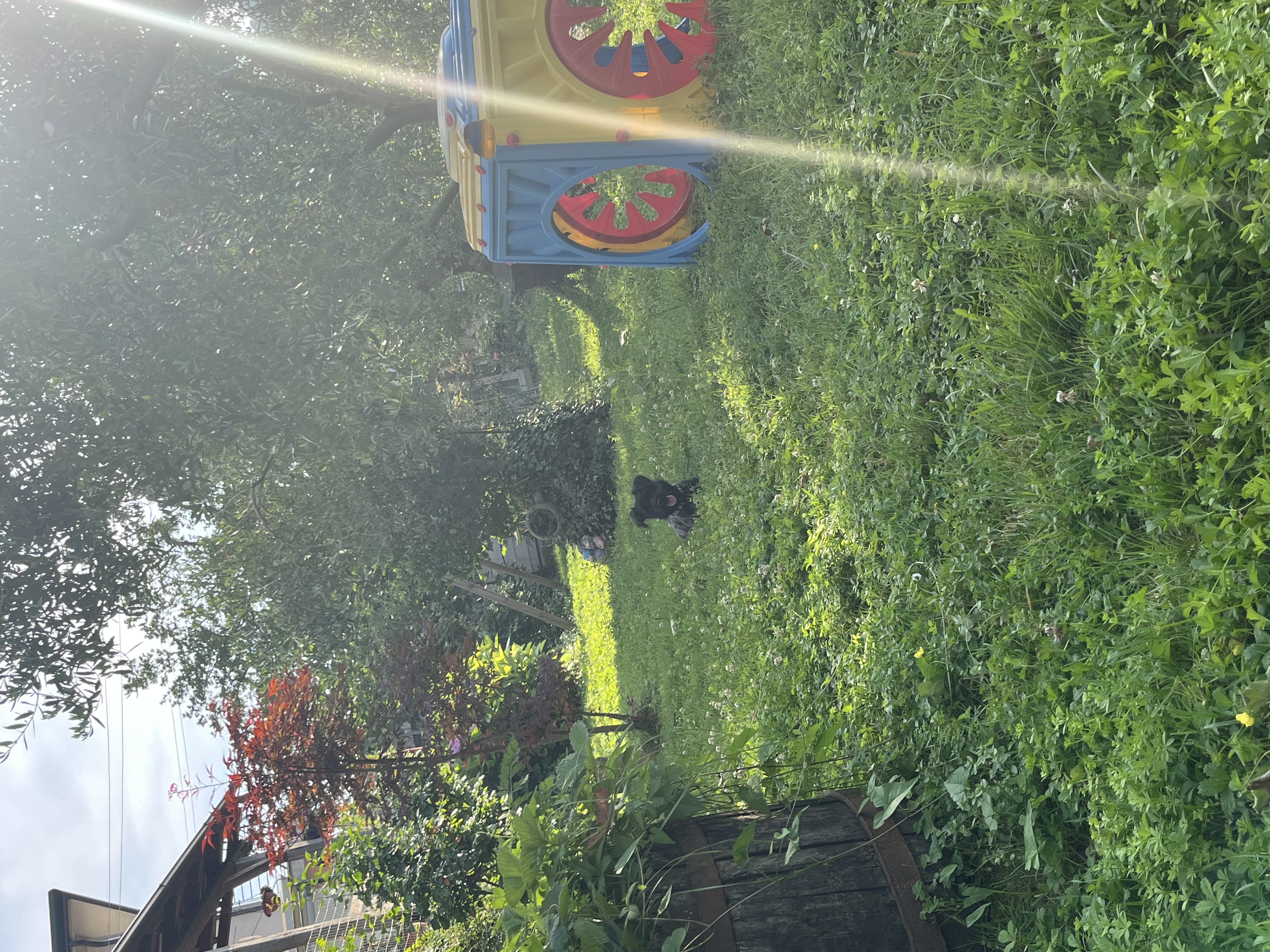 image-15