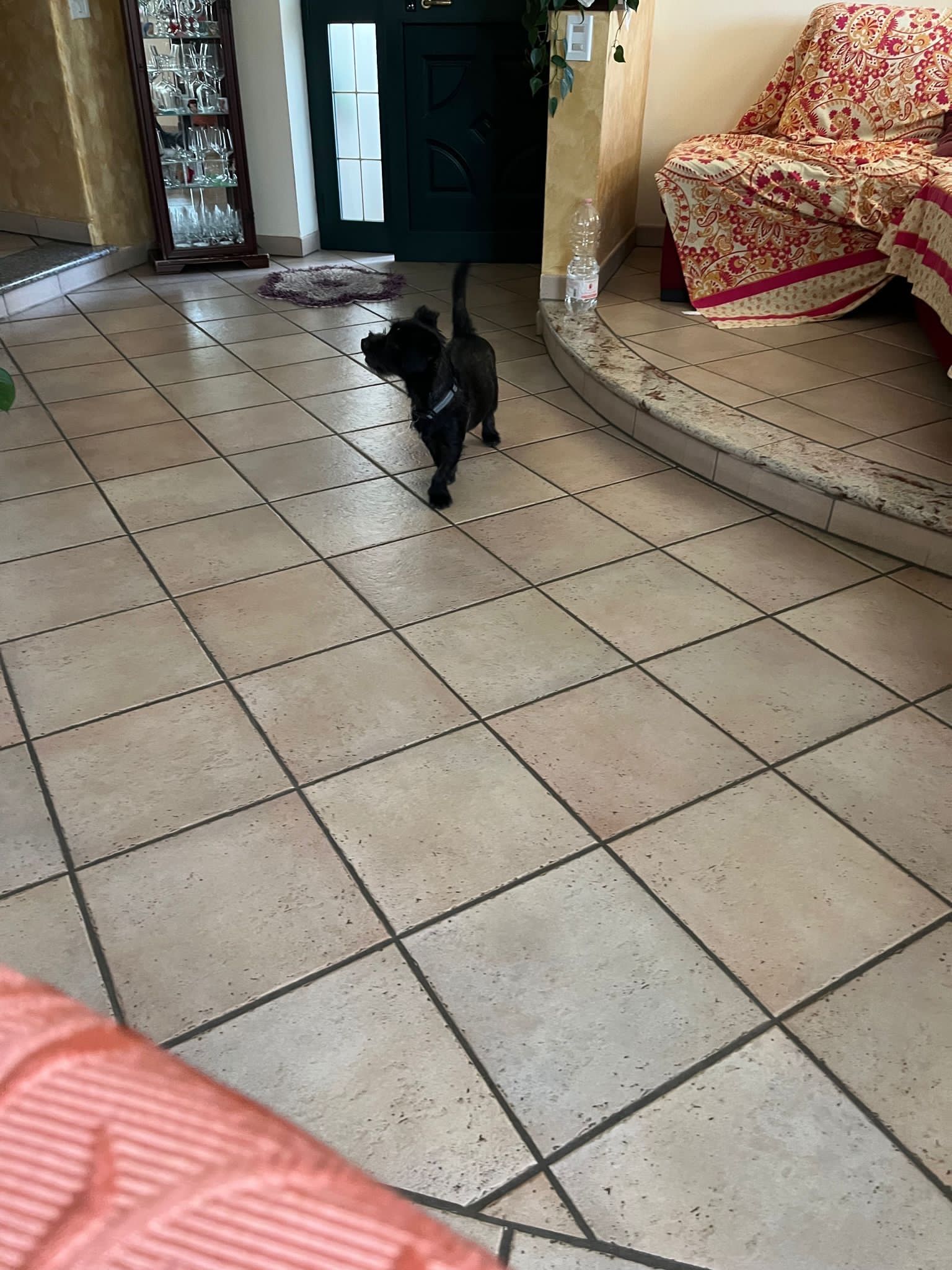image-16