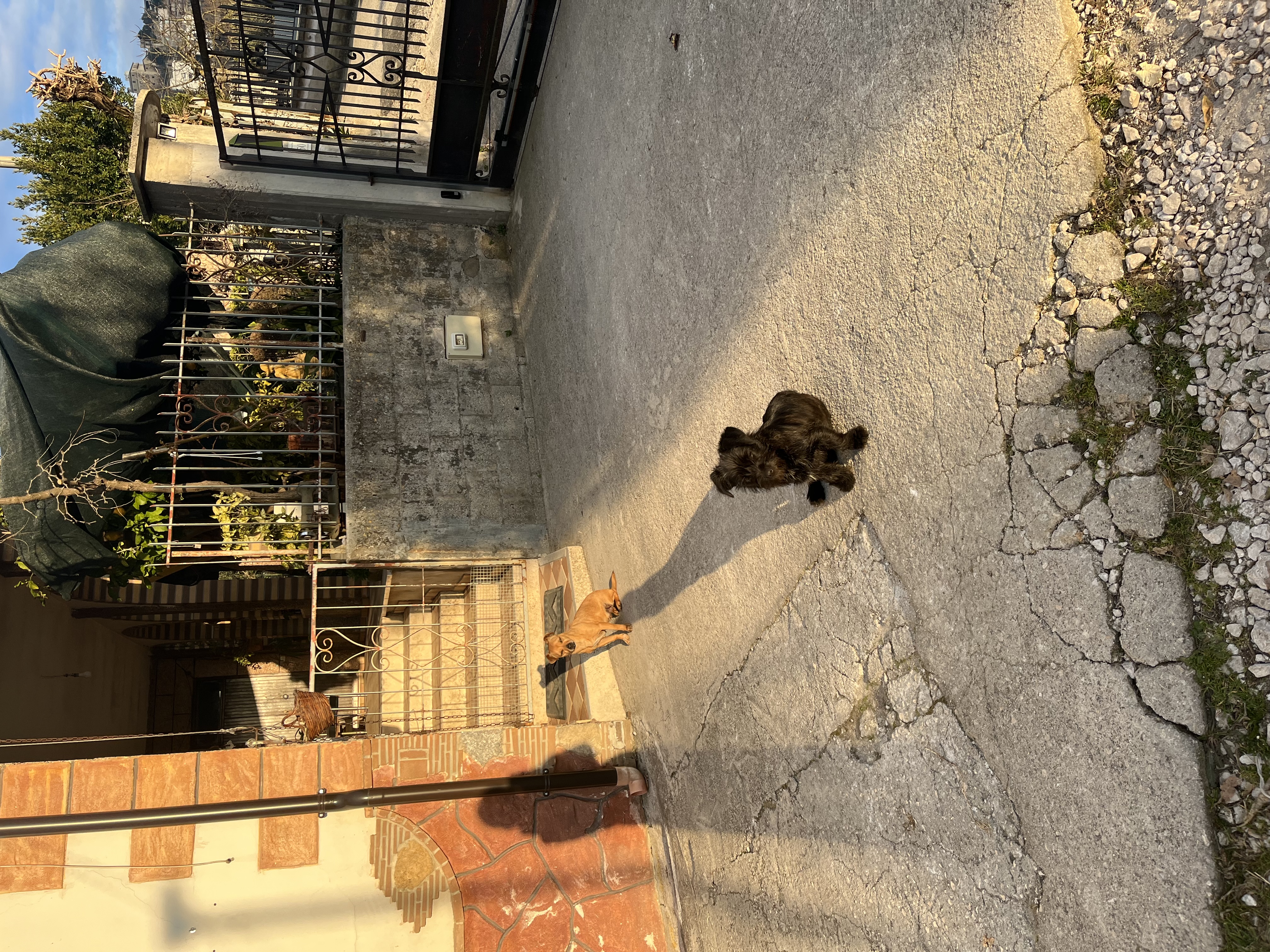 image-12
