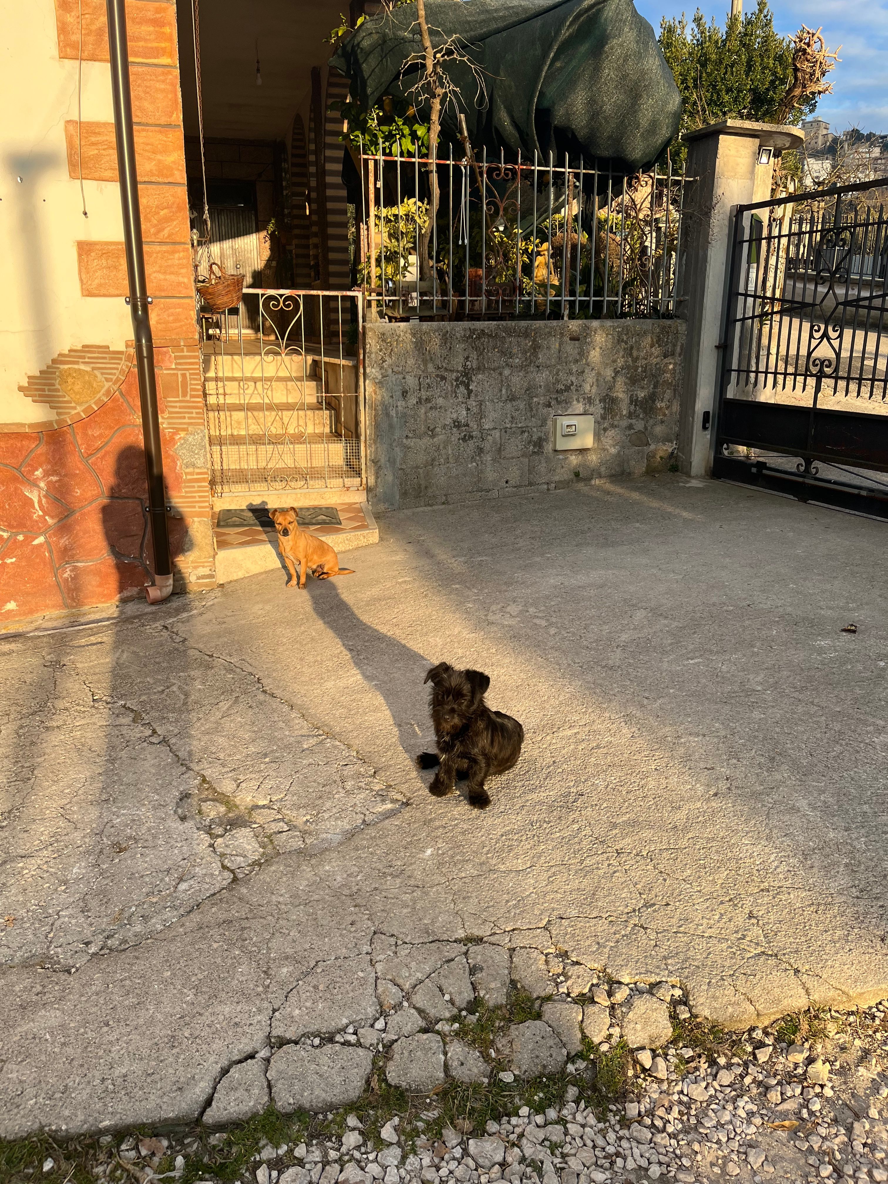image-12