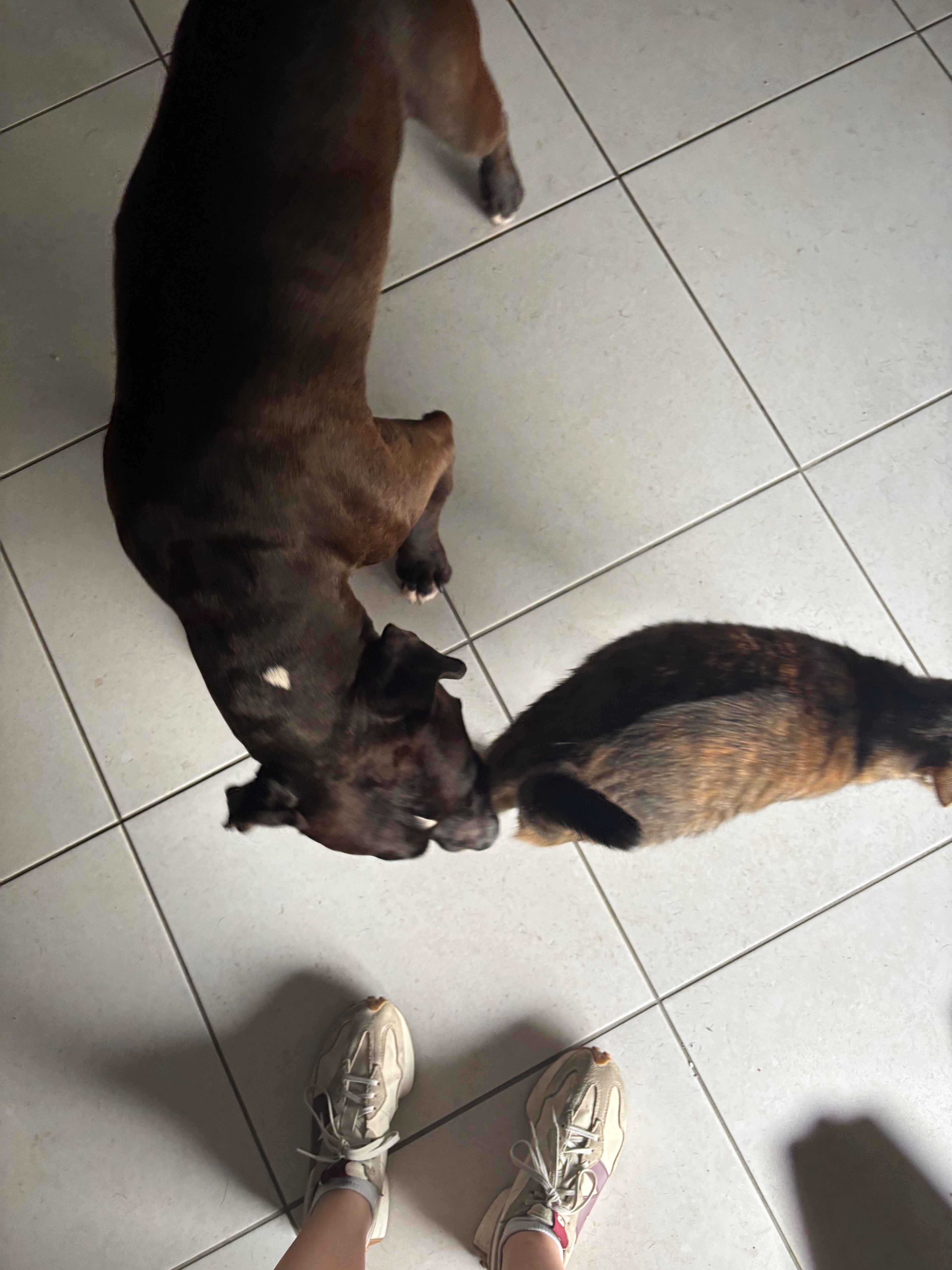 image-7