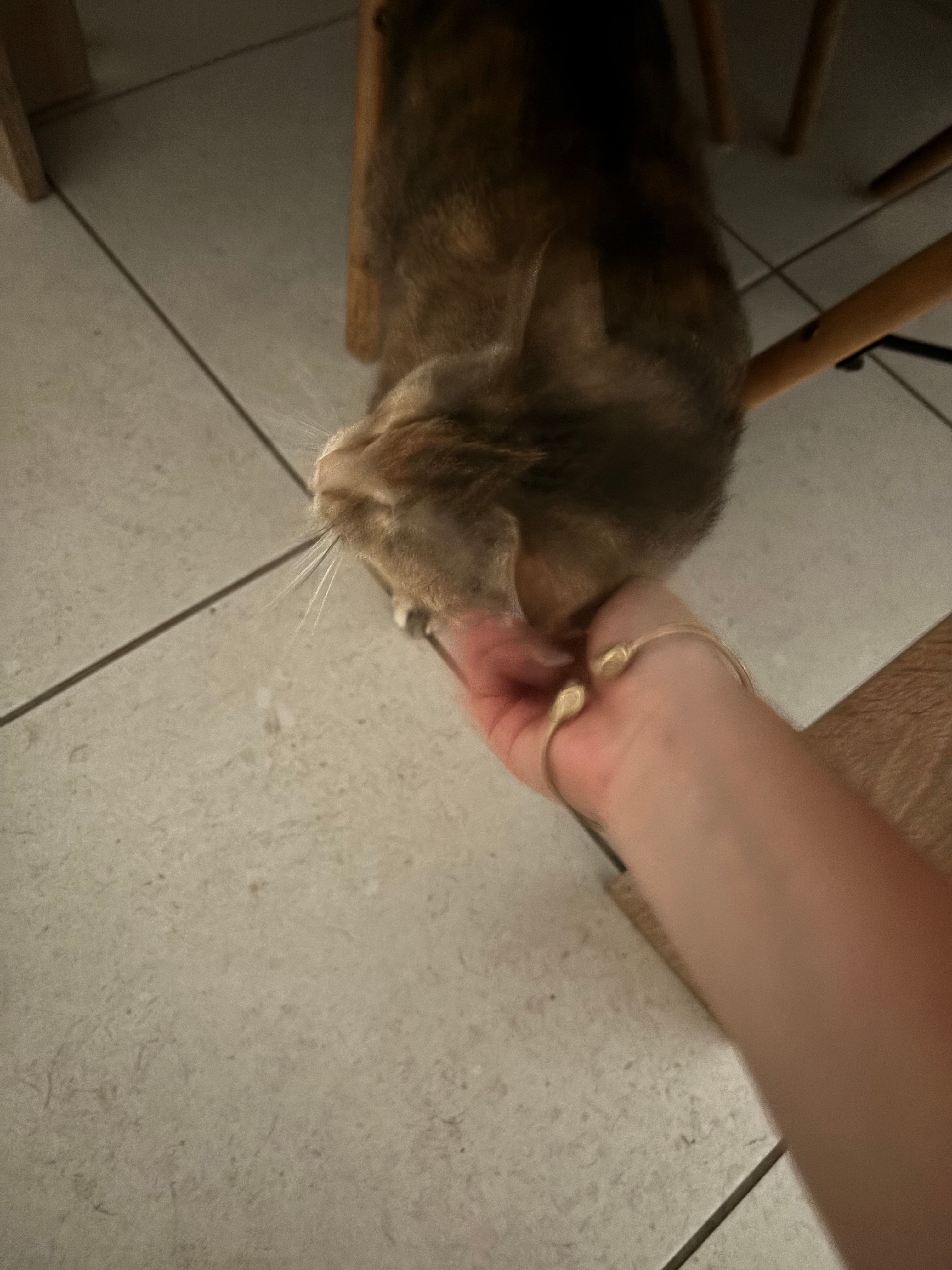 image-5