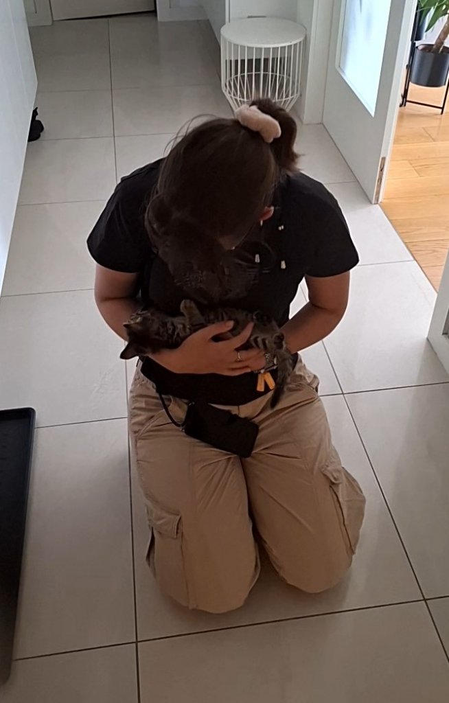 image-7
