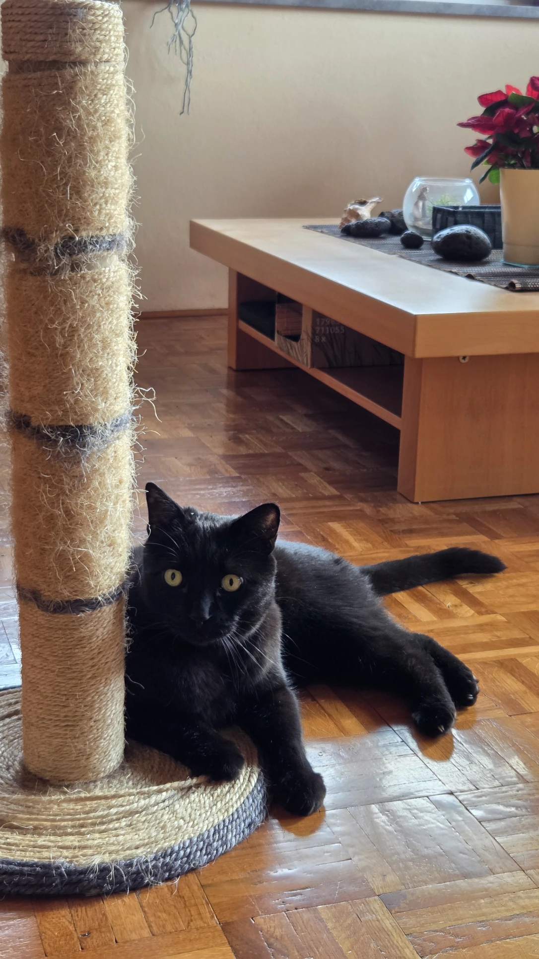 image-12