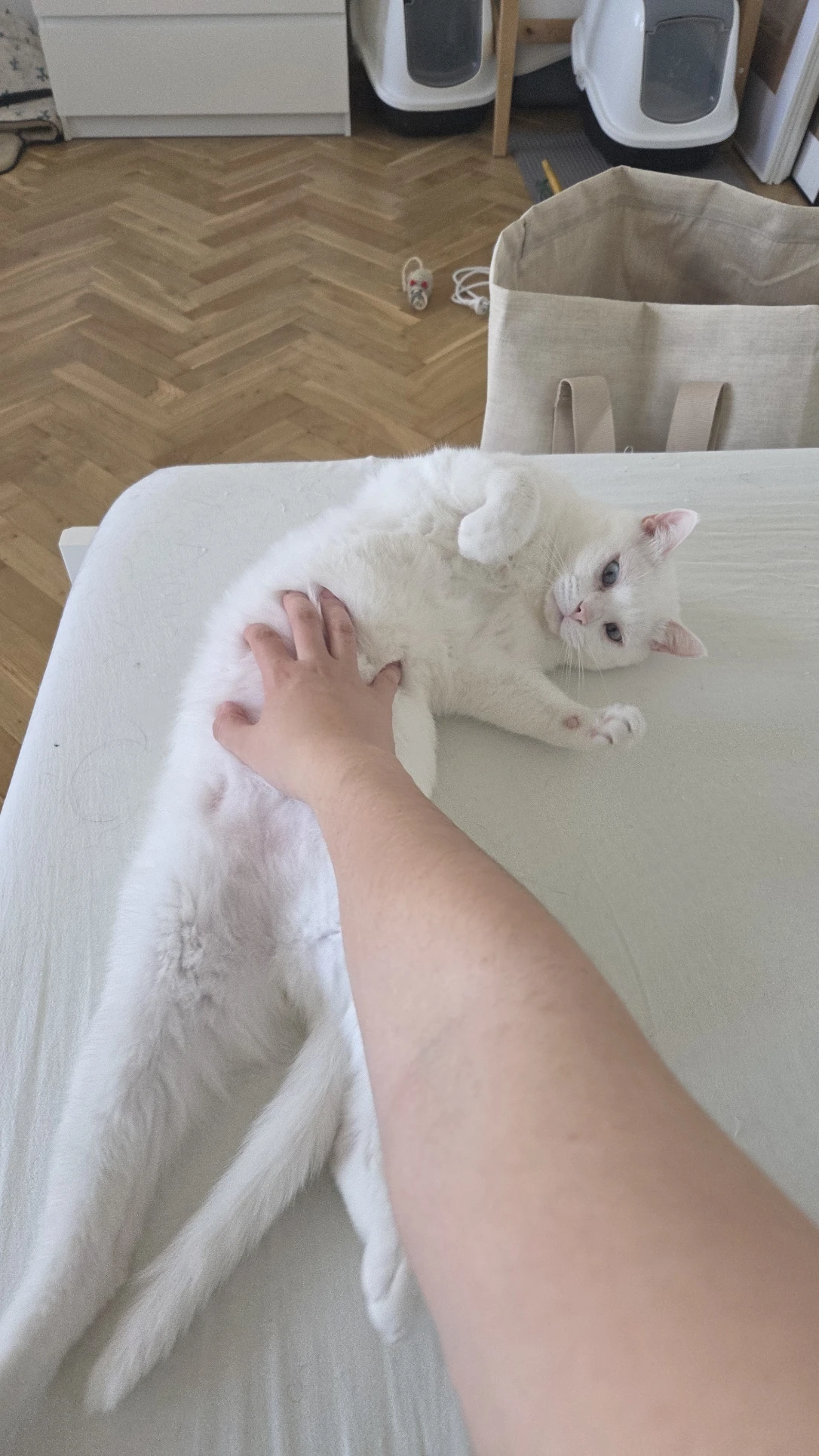 image-16