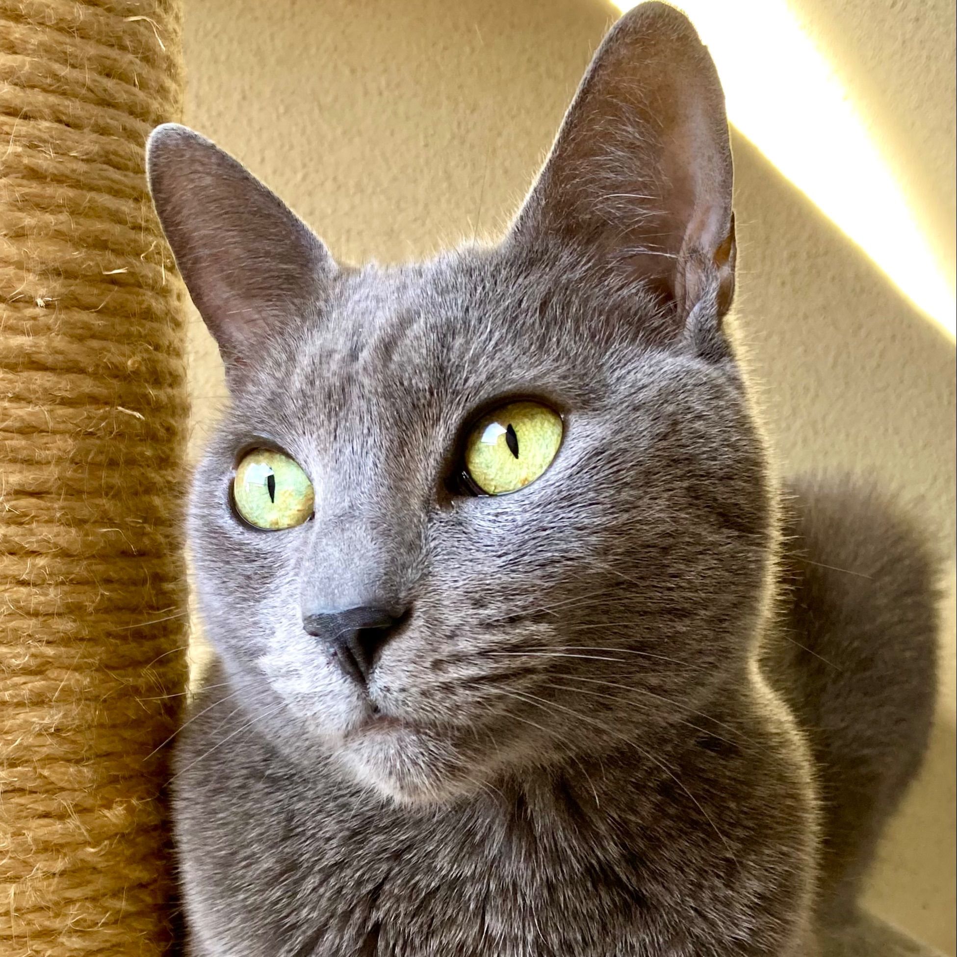 Patti