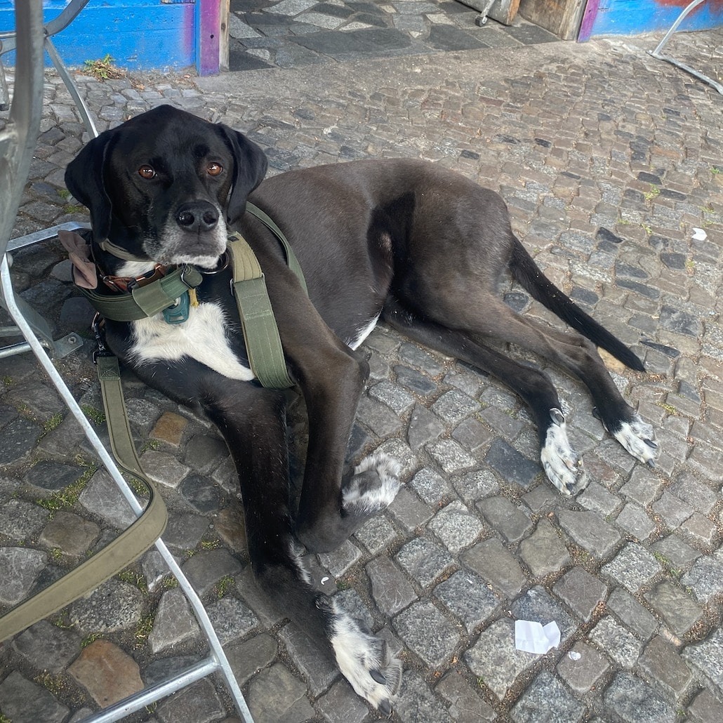 Rio