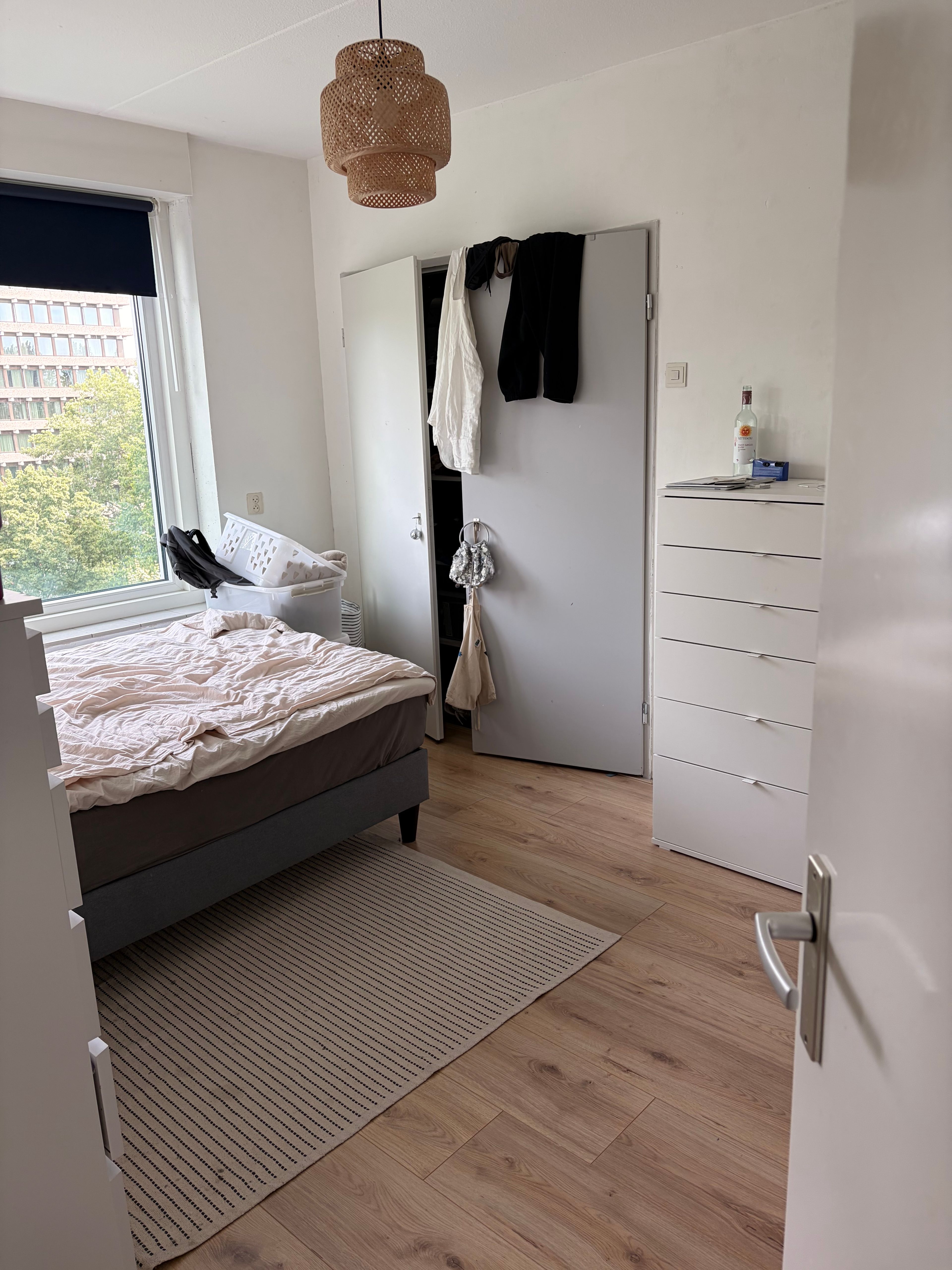 image-9