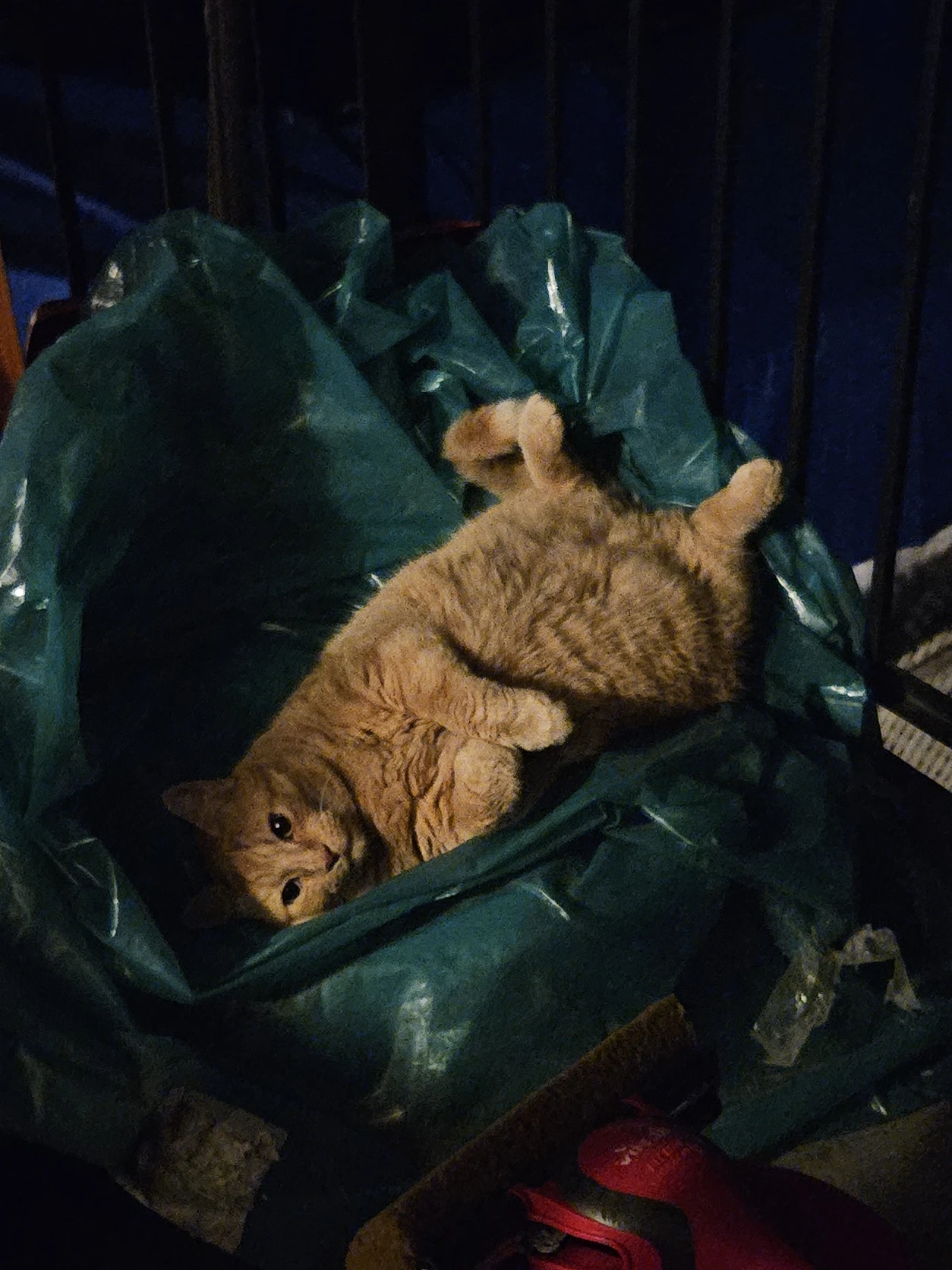 image-6