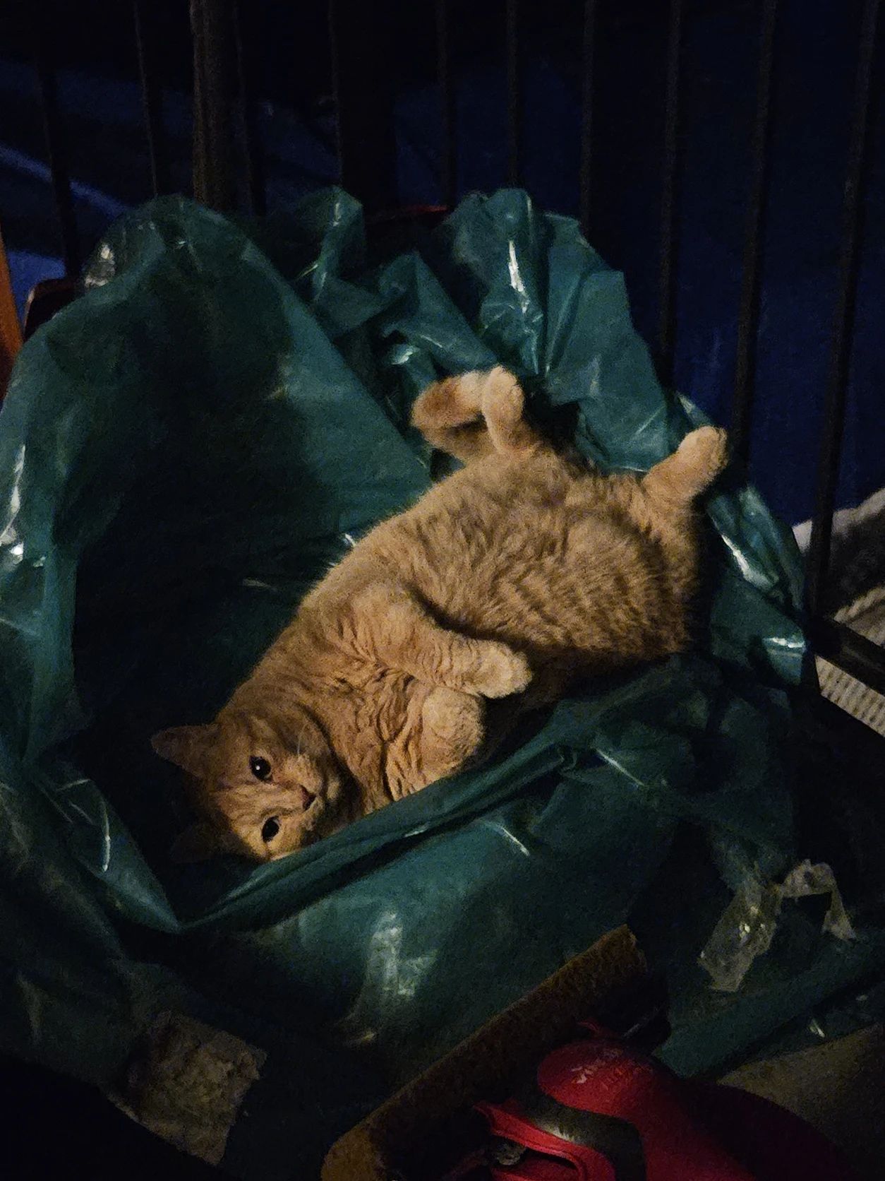 image-6