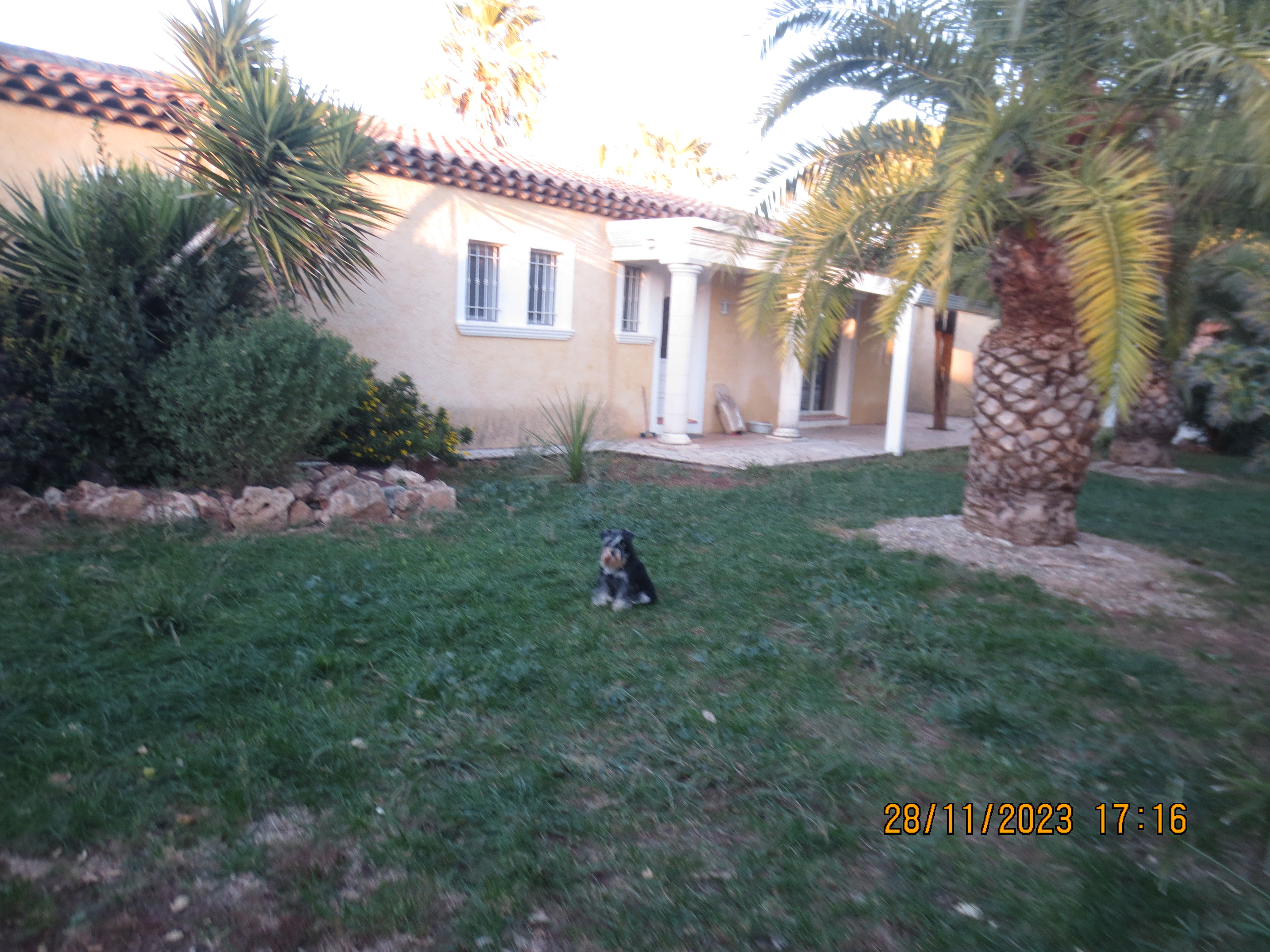 image-5