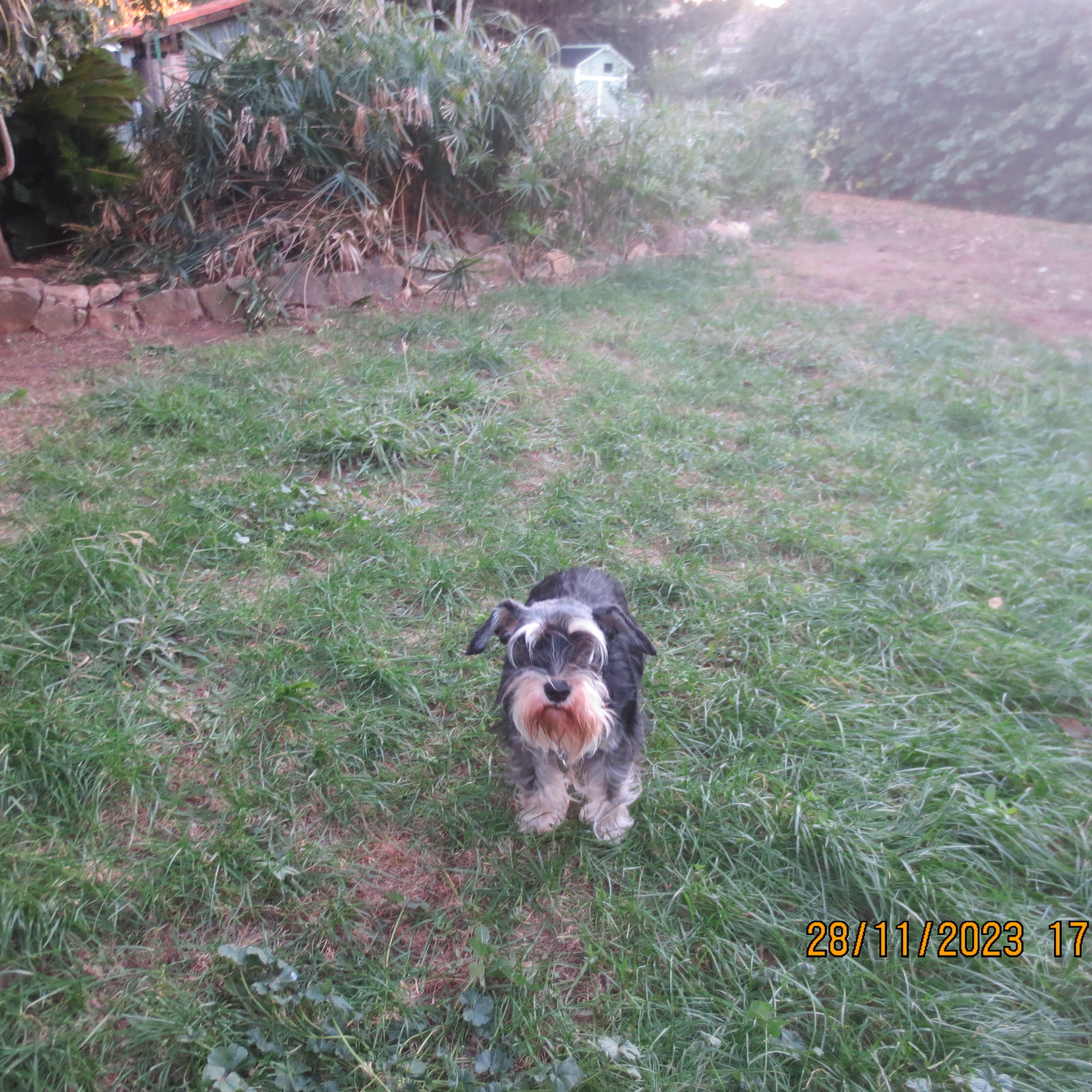 Snowly